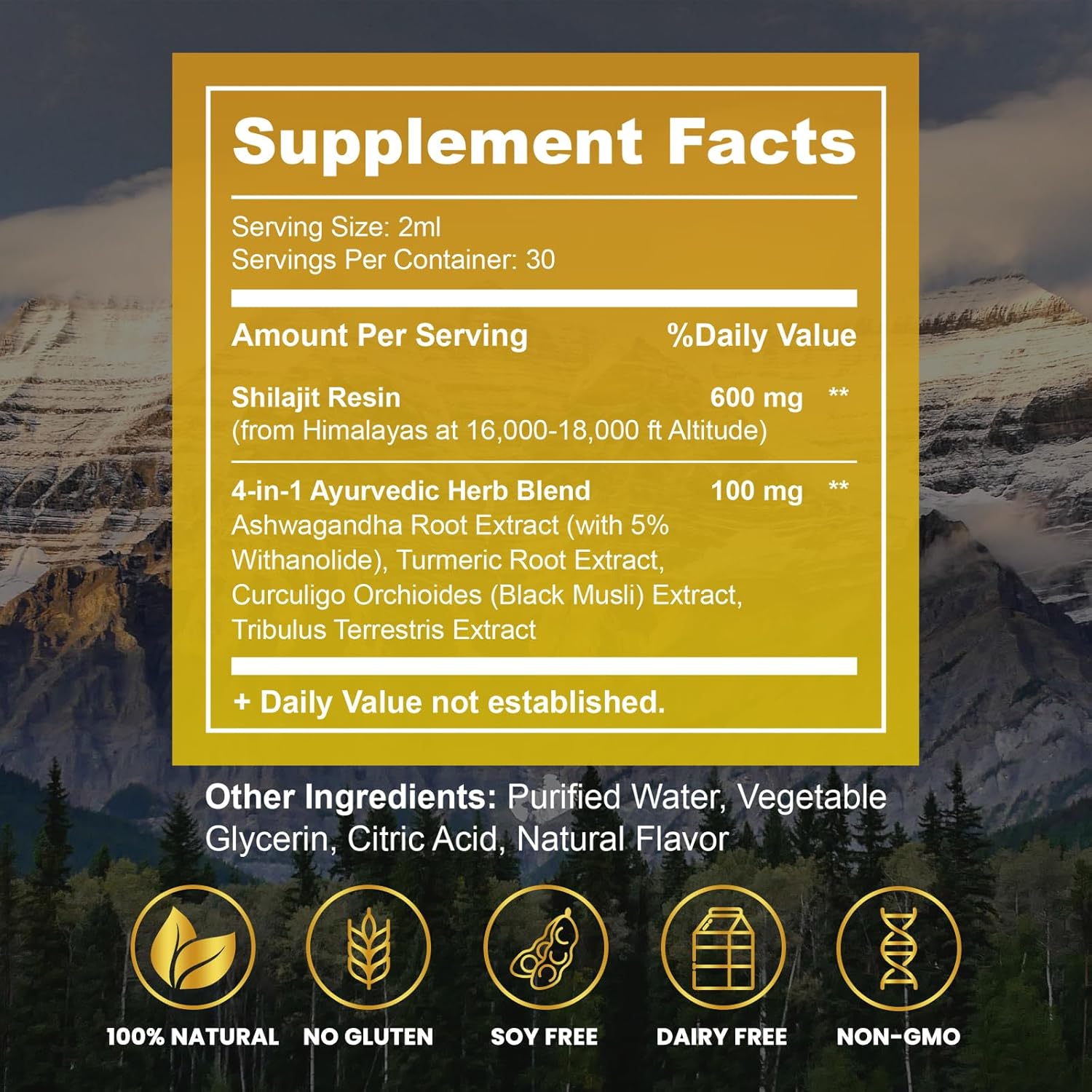 2-Pack Organic Himalayan Shilajit Resin Liquid Drops with Ayurvedic Blend - 600mg, Brain Booster & Energy Immune Support