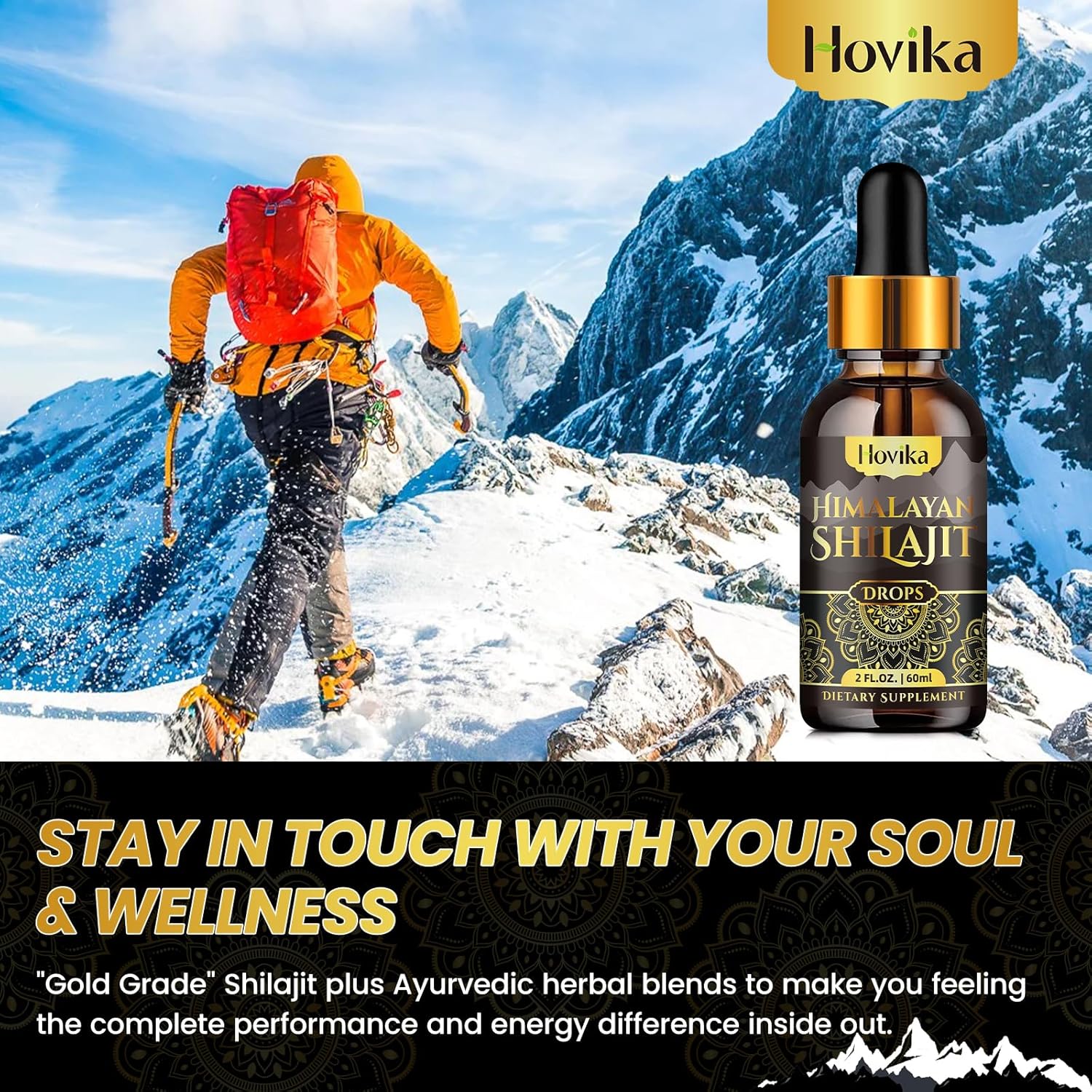 2-Pack Organic Himalayan Shilajit Resin Liquid Drops with Ayurvedic Blend - 600mg, Brain Booster & Energy Immune Support