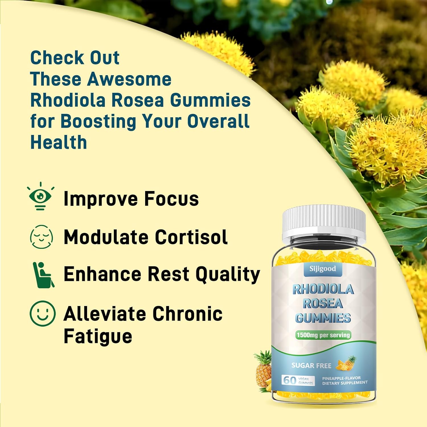 2 Pack Sugar-Free Rhodiola Rosea Gummies - Adaptogenic Supplement for Stamina, Mood, and Motivation - Non-GMO, Vegan - 120 Count