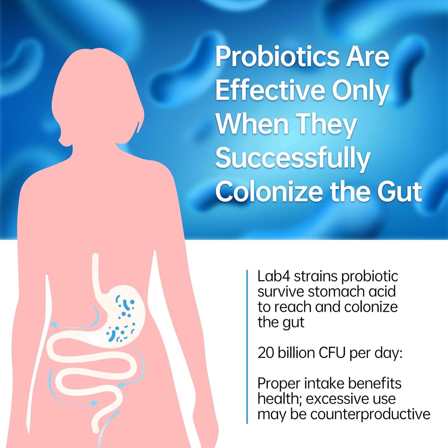 20 Billion Lab4 Probiotics for 8 Weeks Gut Health Support - Relief for IBS, Diarrhea & Bloating - Lactobacillus Acidophilus & Bifidobacteria - 60 Day Supply
