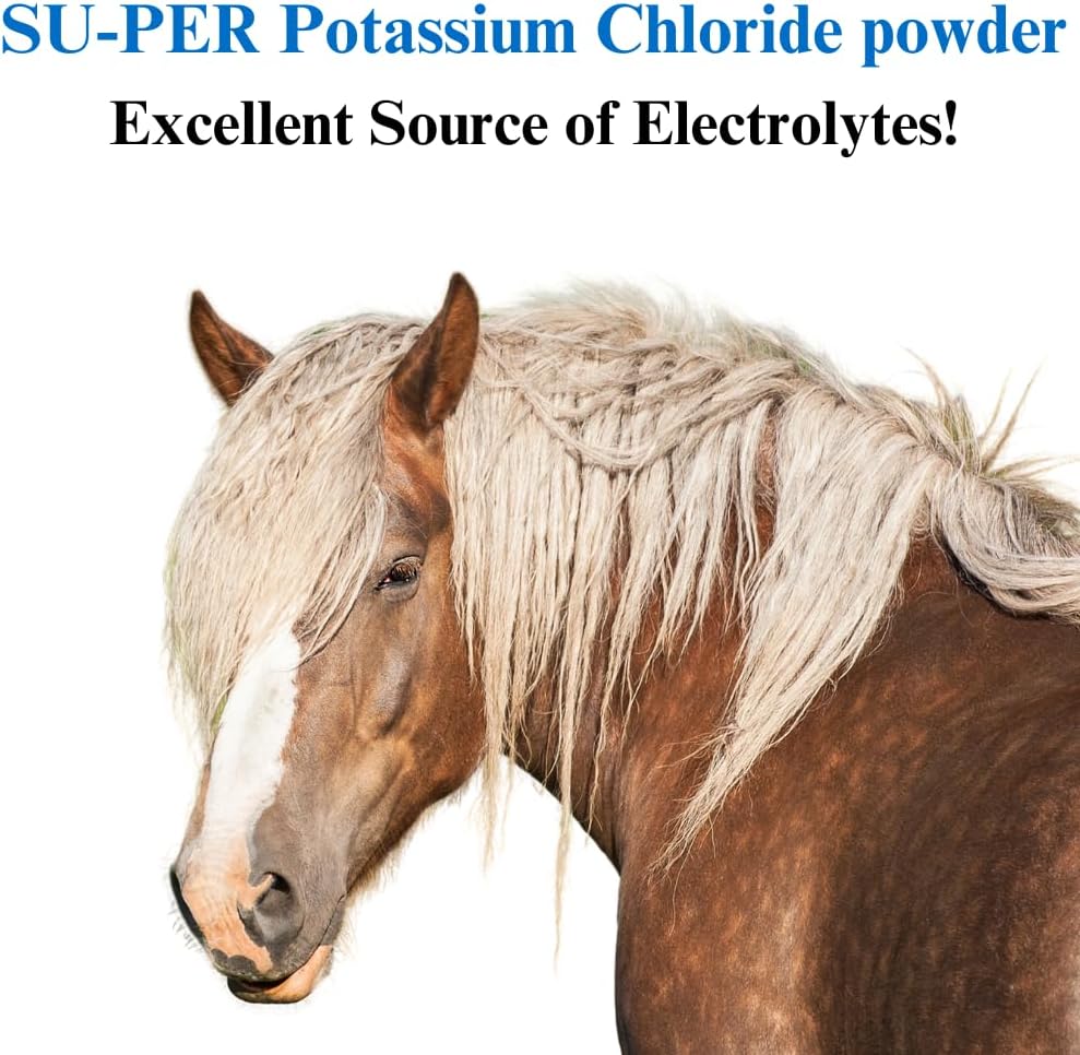 20 lb SU-PER Potassium Chloride Horse Electrolyte Supplement - Maintain Normal Electrolyte Balance for 21 Months