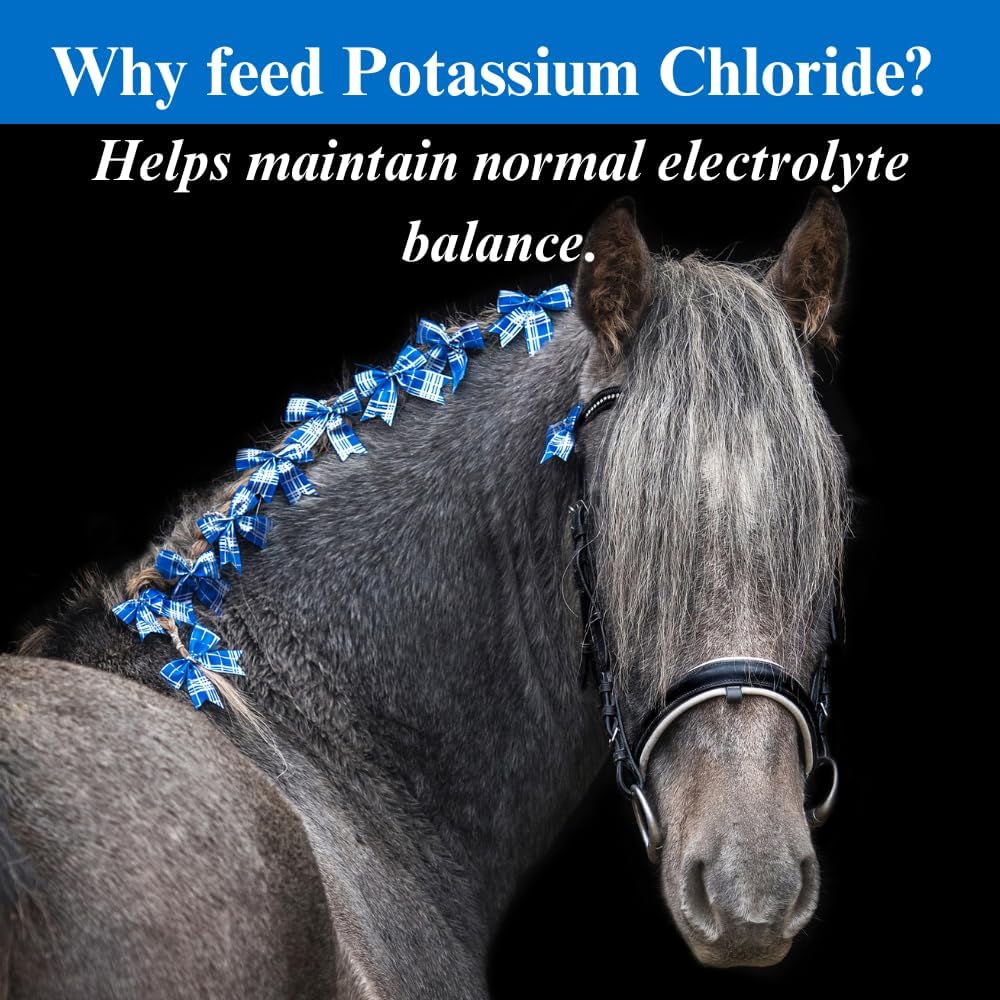 20 lb SU-PER Potassium Chloride Horse Electrolyte Supplement - Maintain Normal Electrolyte Balance for 21 Months