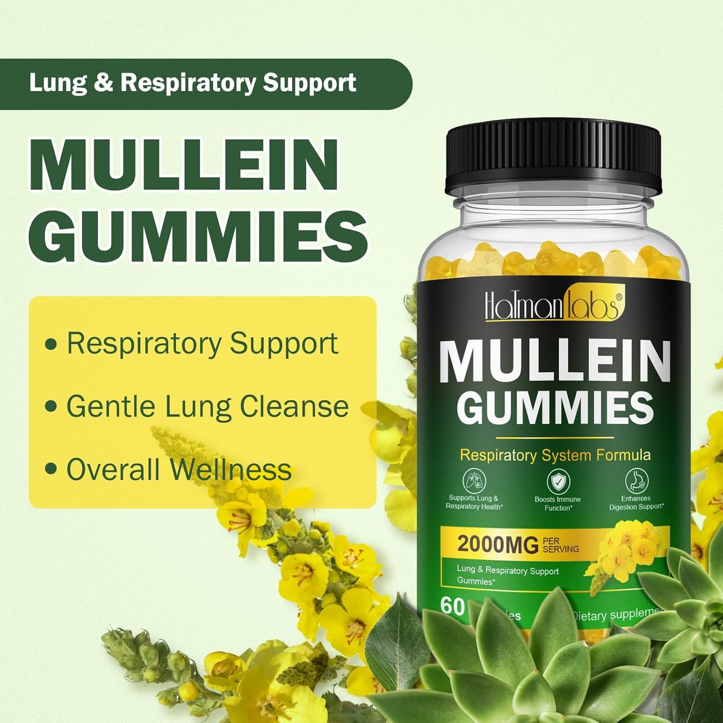 2000mg Mullein Leaf Gummies for Lung Detox, Respiratory & Immune Support - Vegan 60 Gummies with Quercetin, Bromelain, Elderberry & Marshmallow