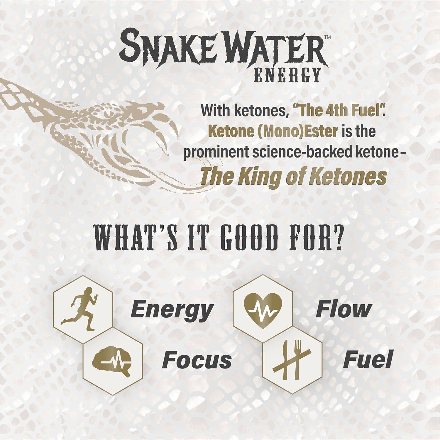 2023 KetoneAid SnakeWater Energy Drink with Ketone Ester and Nootropics for Boosting Focus | 12 Oz Can