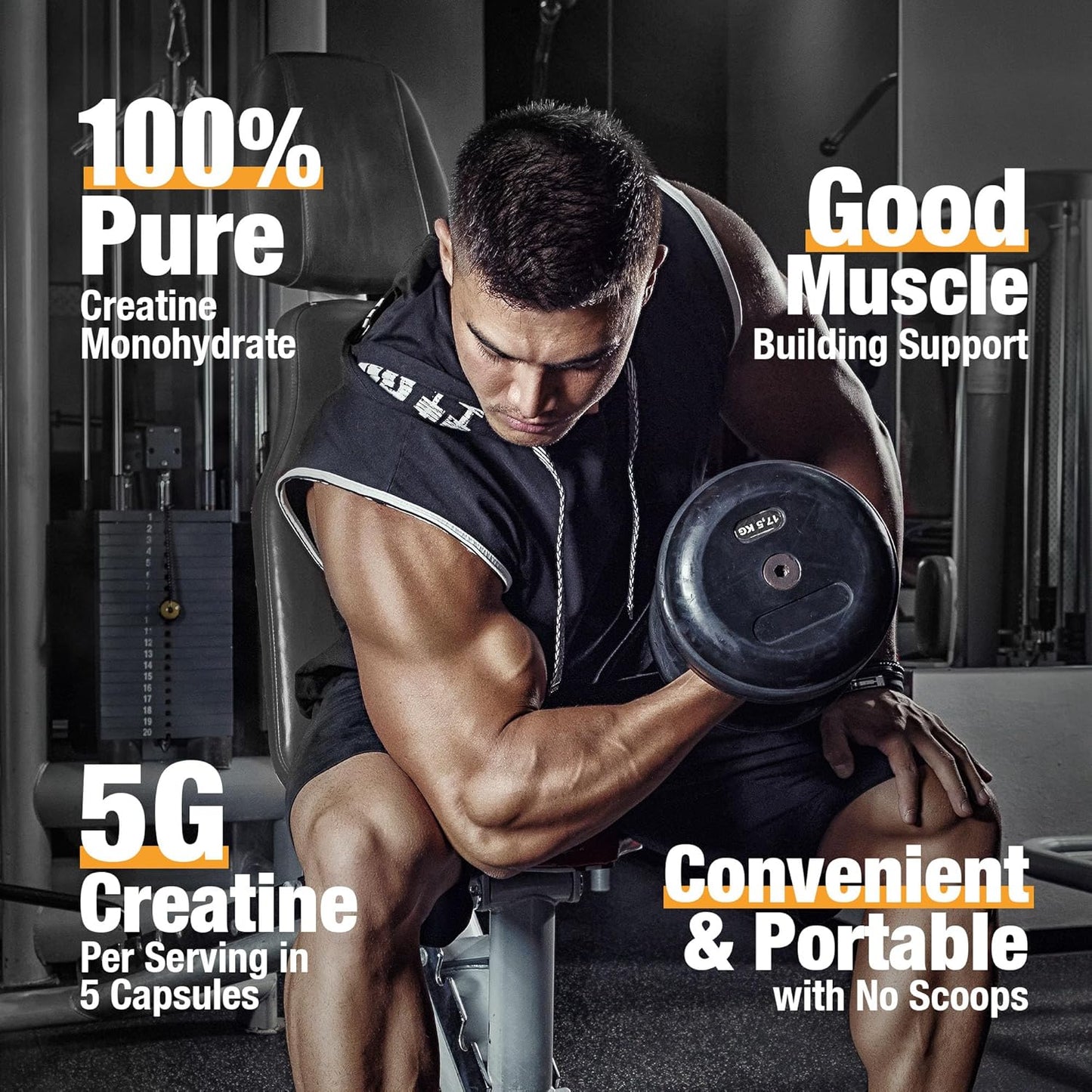 204 Micronized Creatine Monohydrate Capsules - Muscle, Strength, Performance & Recovery Supplement for Men and Women (34 Servings)