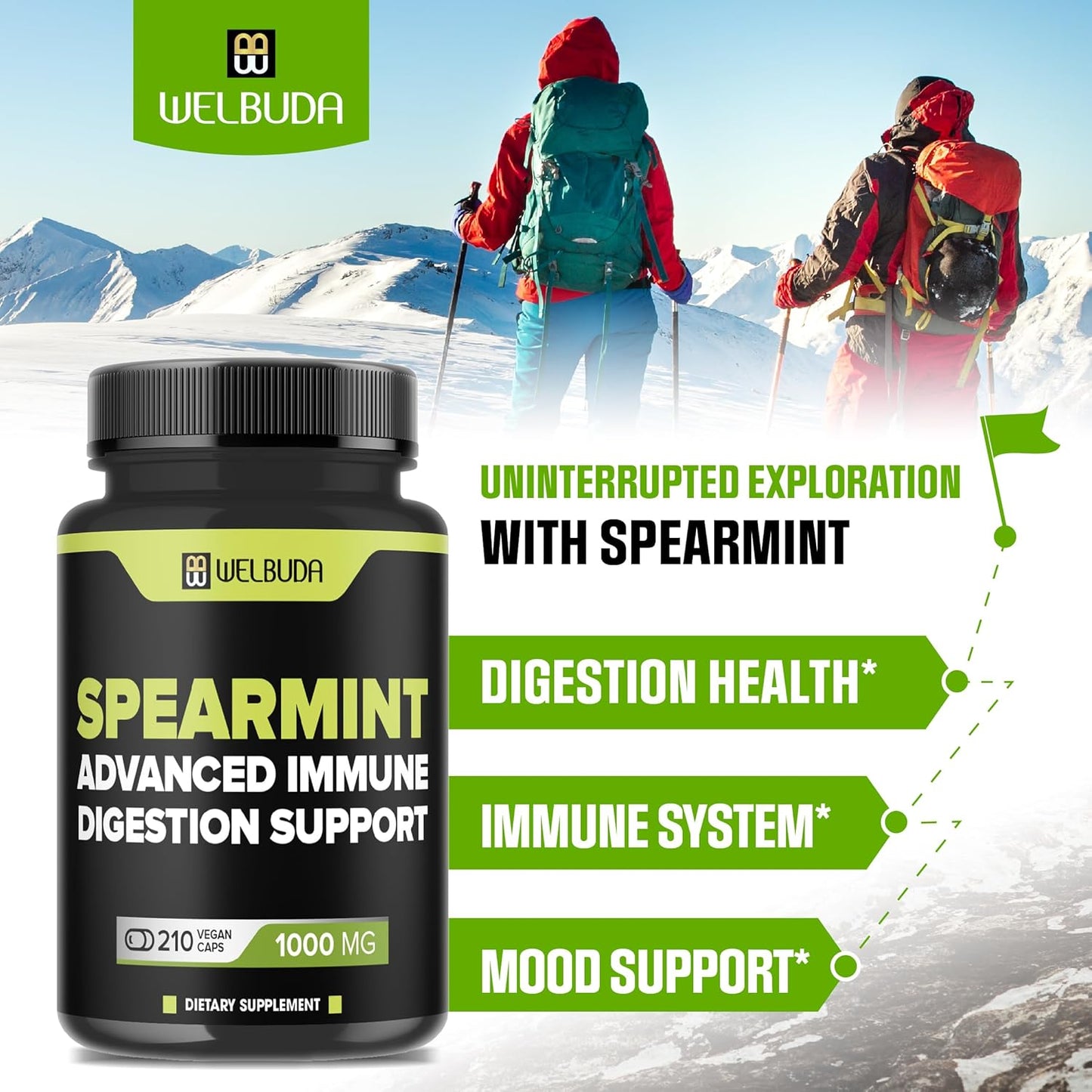 210 Capsules of WELBUDA Spearmint Supplement with Olive Leaf, Ginger Root, Black Pepper - Promotes Digestion, Respiratory Health, Immunity, Positive Mood