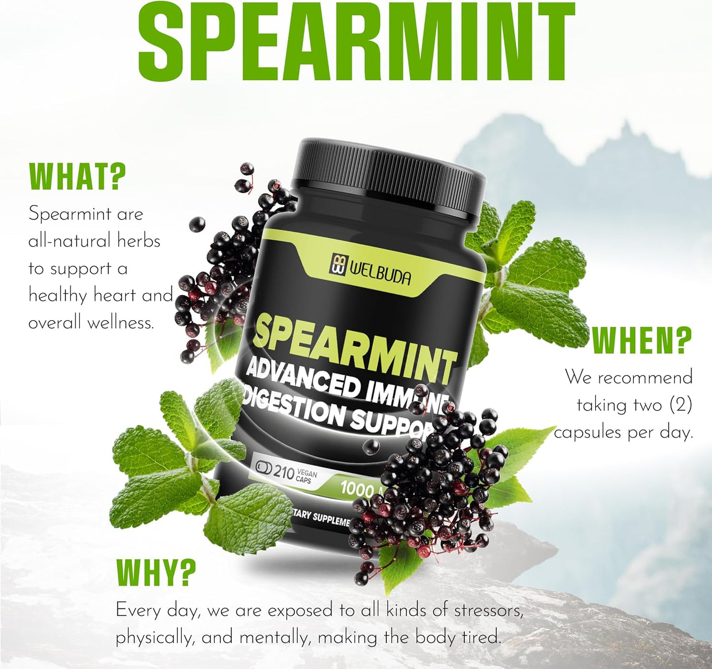 210 Capsules of WELBUDA Spearmint Supplement with Olive Leaf, Ginger Root, Black Pepper - Promotes Digestion, Respiratory Health, Immunity, Positive Mood