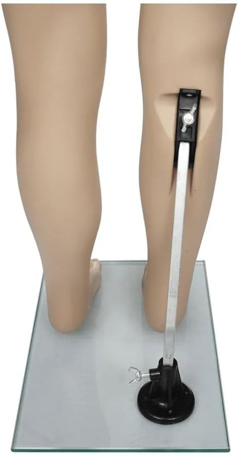 21.7" Mannequin Child with 24" Bust and 20.1" Waist - Beige Color, Fitment Tested