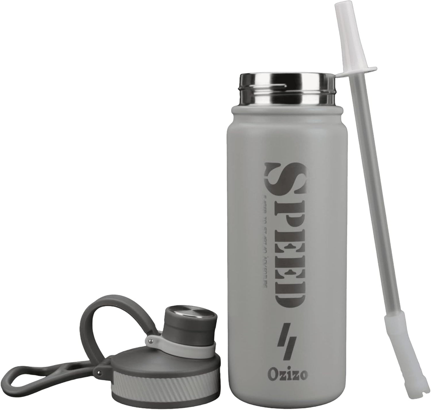 22 oz Stainless Steel Insulated Sport Water Bottle with Leakproof Sip Through Straw Lid