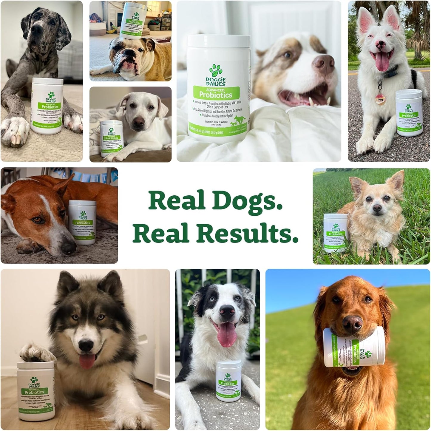 225 Dog Probiotic Soft Chews with Prebiotics for Digestive & Immune Health - Pumpkin Flavor