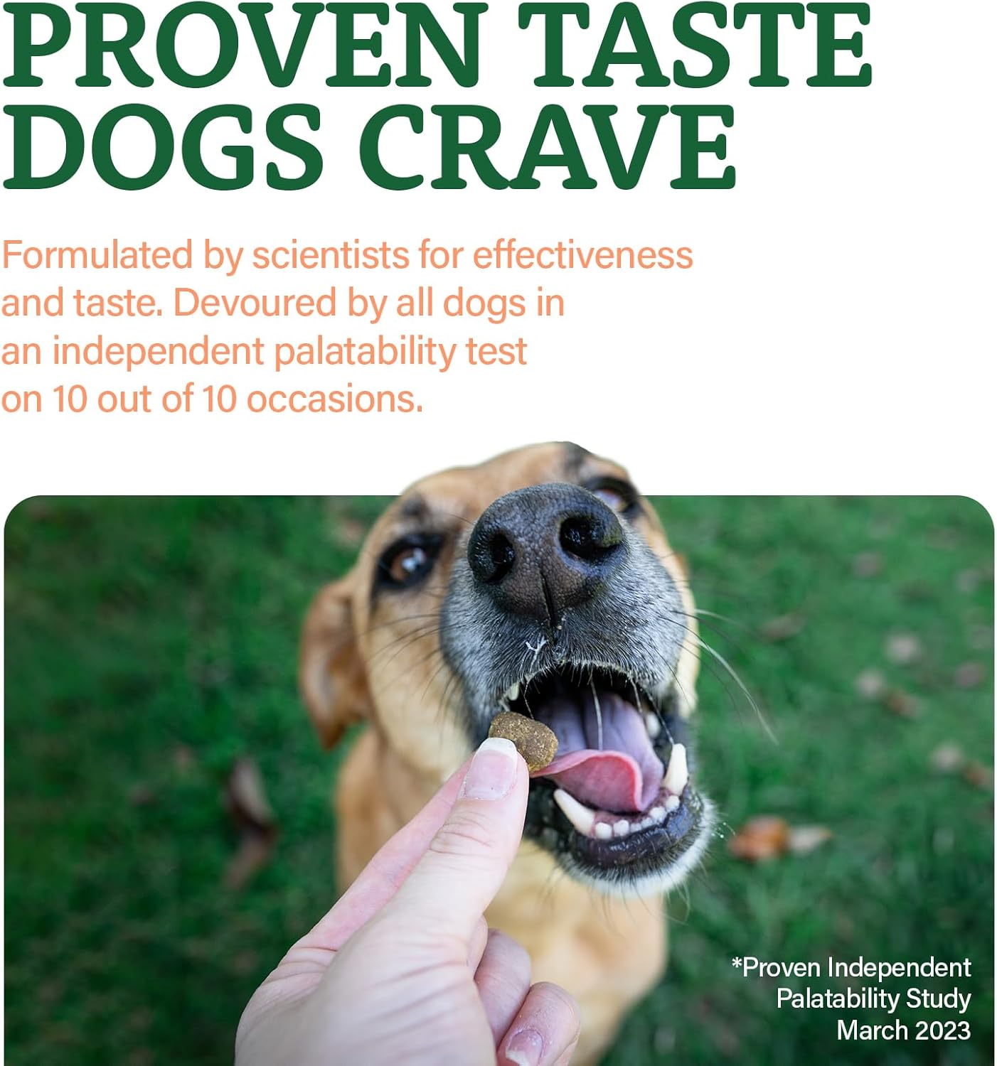 225 Dog Probiotic Soft Chews with Prebiotics for Digestive & Immune Health - Pumpkin Flavor