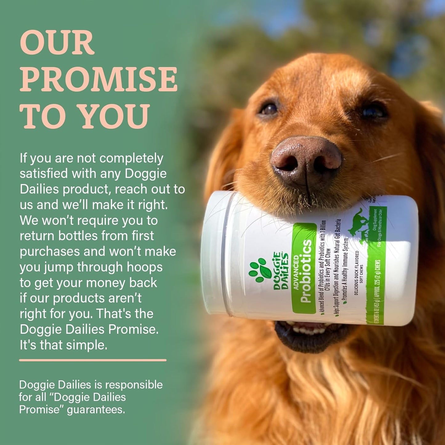 225 Dog Probiotic Soft Chews with Prebiotics for Digestive & Immune Health - Pumpkin Flavor