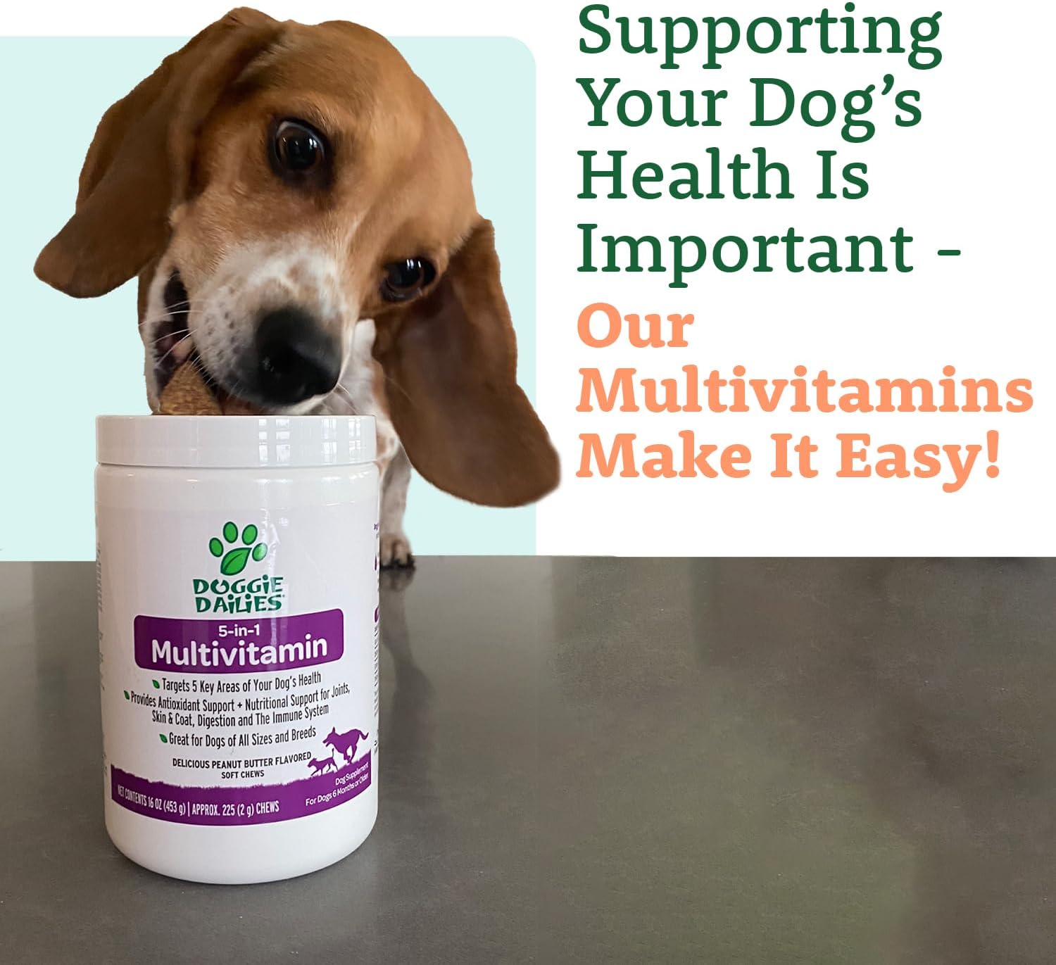225 Soft Chew Dog Multivitamin for Skin & Coat, Joints, Digestion, Antioxidants & Immune Health - BoostGo Australia