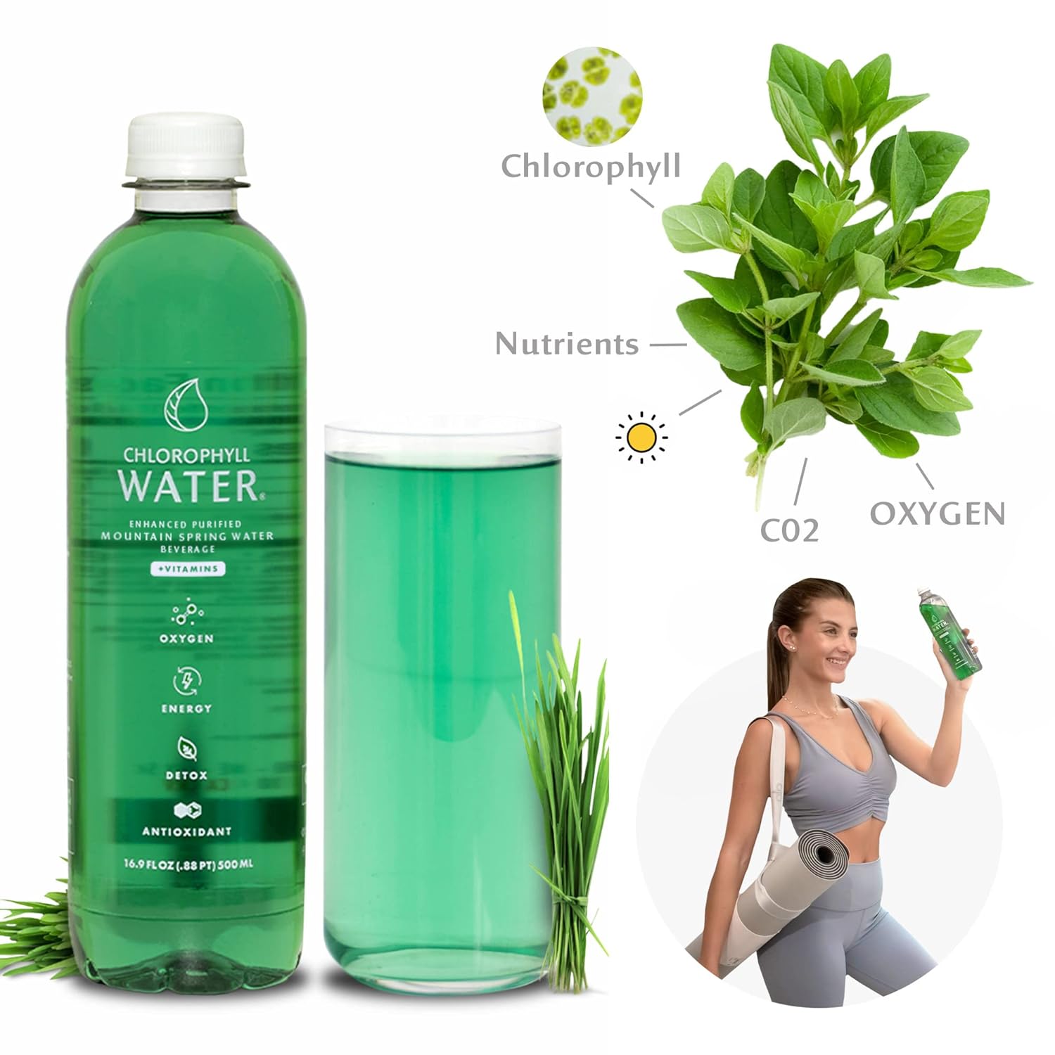 24 Bottles of Chlorophyll Water for Energy Boost, Detox, and Antioxidants - Liquid Chlorophyll Vitamin Water with Added Vitamins A, B12, C, and D in Purified Mountain Mineral Water with Zero Calories