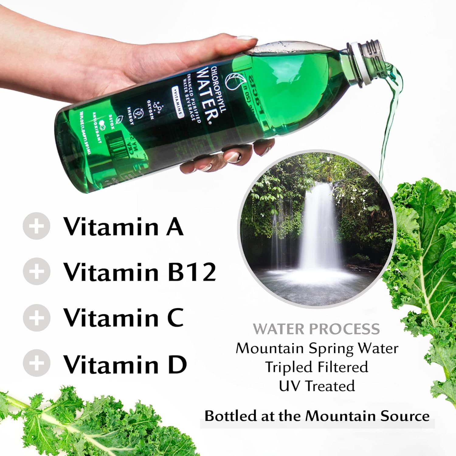 24 Bottles of Chlorophyll Water for Energy Boost, Detox, and Antioxidants - Liquid Chlorophyll Vitamin Water with Added Vitamins A, B12, C, and D in Purified Mountain Mineral Water with Zero Calories
