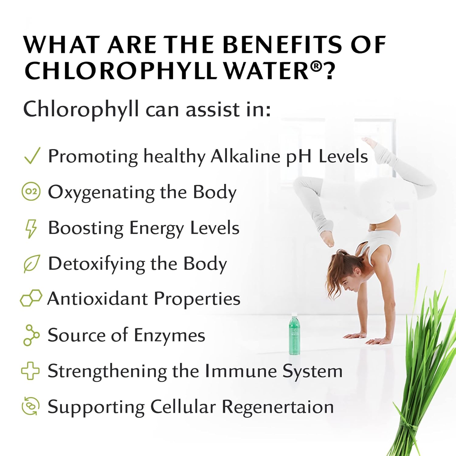 24 Bottles of Chlorophyll Water for Energy Boost, Detox, and Antioxidants - Liquid Chlorophyll Vitamin Water with Added Vitamins A, B12, C, and D in Purified Mountain Mineral Water with Zero Calories