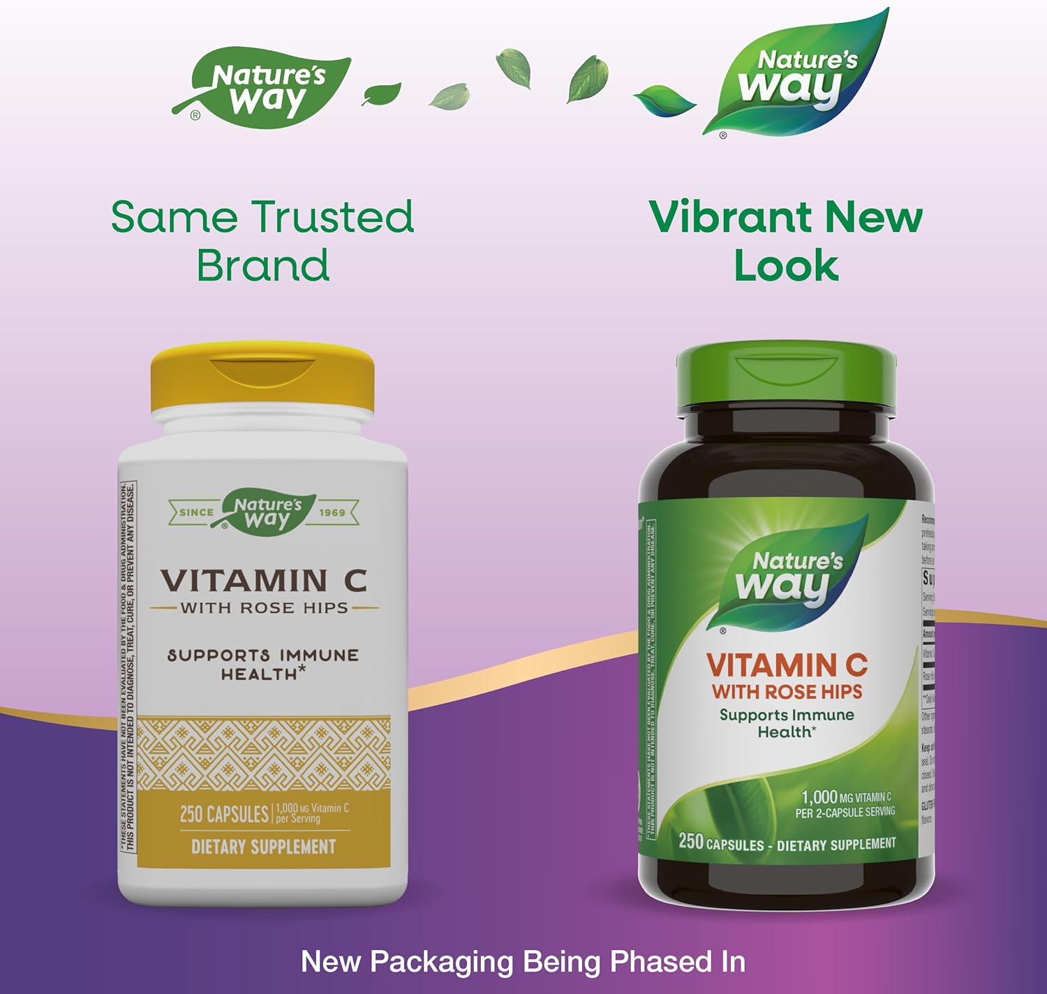 250 Capsules Nature's Way Vitamin C with Rose Hips for Immune Support and Healthy Skin