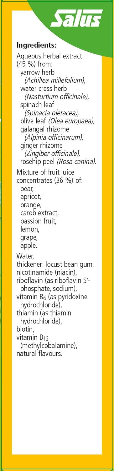 250 ml Floradix Liquid Vitamin B Complex Formula - Natural Energy & Metabolism Boost - Iron-Free Supplement for Adults & Kids