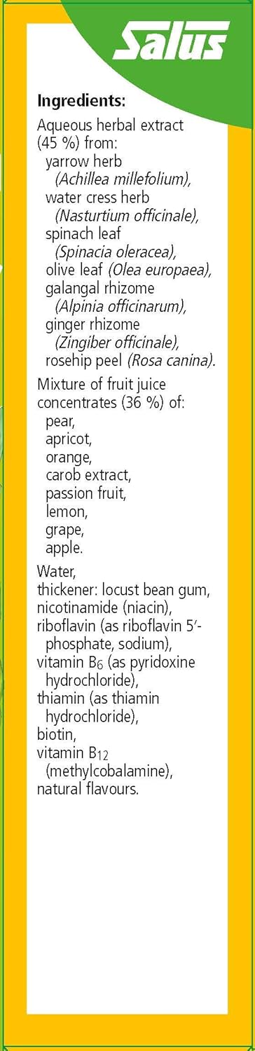 250 ml Floradix Liquid Vitamin B Complex Formula - Natural Energy & Metabolism Boost - Iron-Free Supplement for Adults & Kids