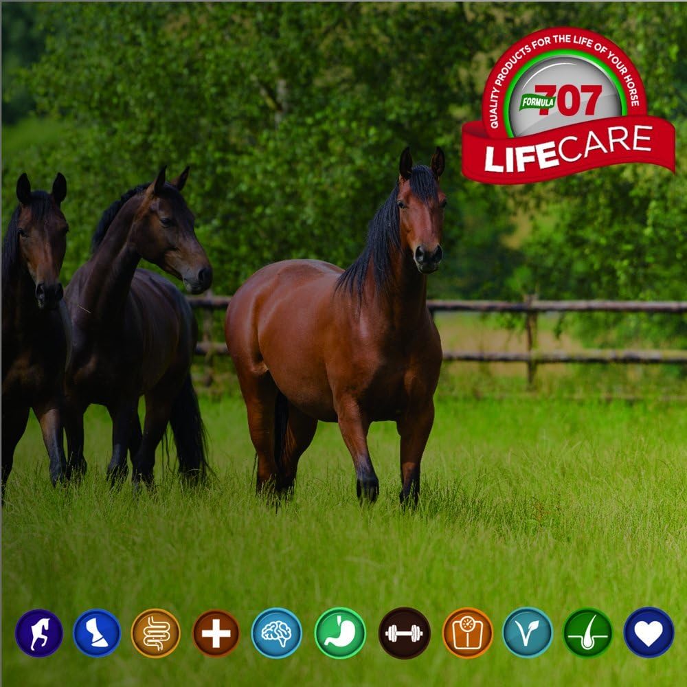 25lb Bucket of Formula 707 Daily Essentials Equine Supplement - Essential Vitamins and Minerals for Optimal Horse Health and Condition