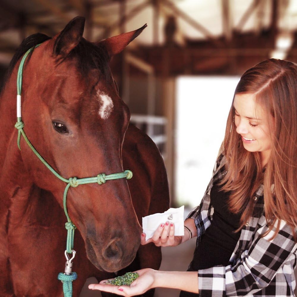 25lb Bucket of Formula 707 Daily Essentials Equine Supplement - Essential Vitamins and Minerals for Optimal Horse Health and Condition