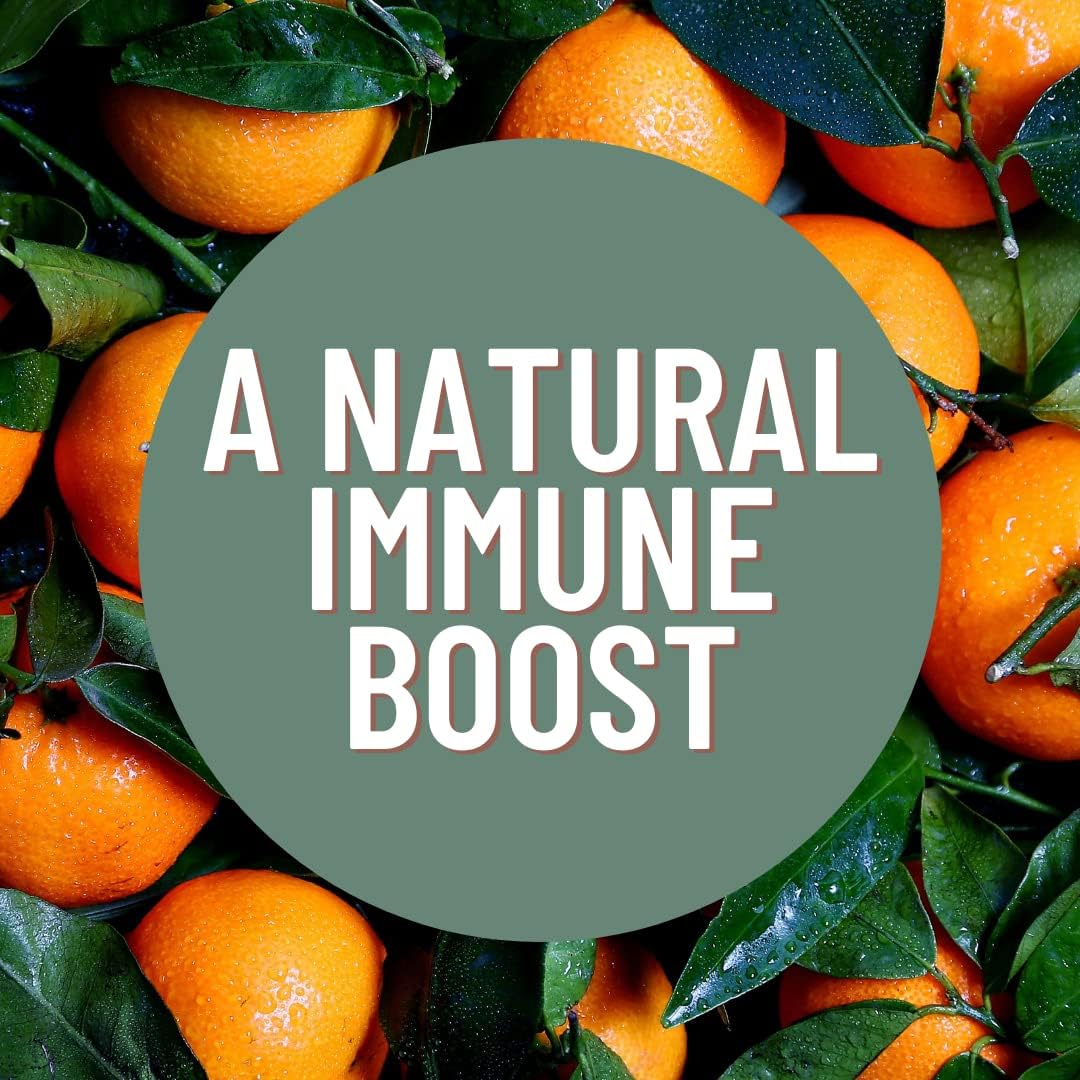 25mg Zinc Formula Capsules for Immune Support and Antioxidant Benefits - 100 Count