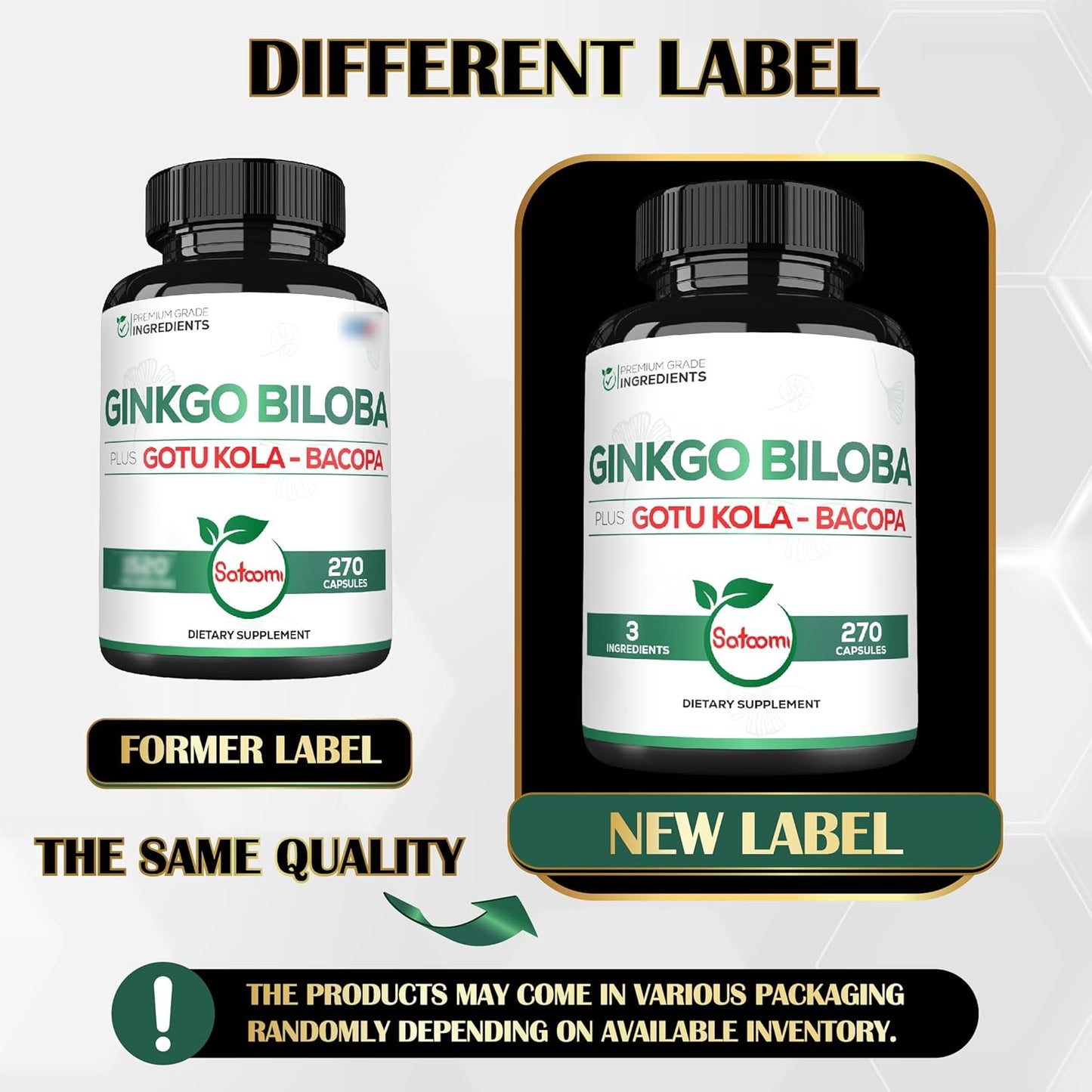 270 Capsules of Satoomi Ginkgo Biloba Supplements with Gotu Kola and Bacopa Monnieri - Extra Strength Brain Health Support for Memory, Focus, and Vision - 3 Month Supply