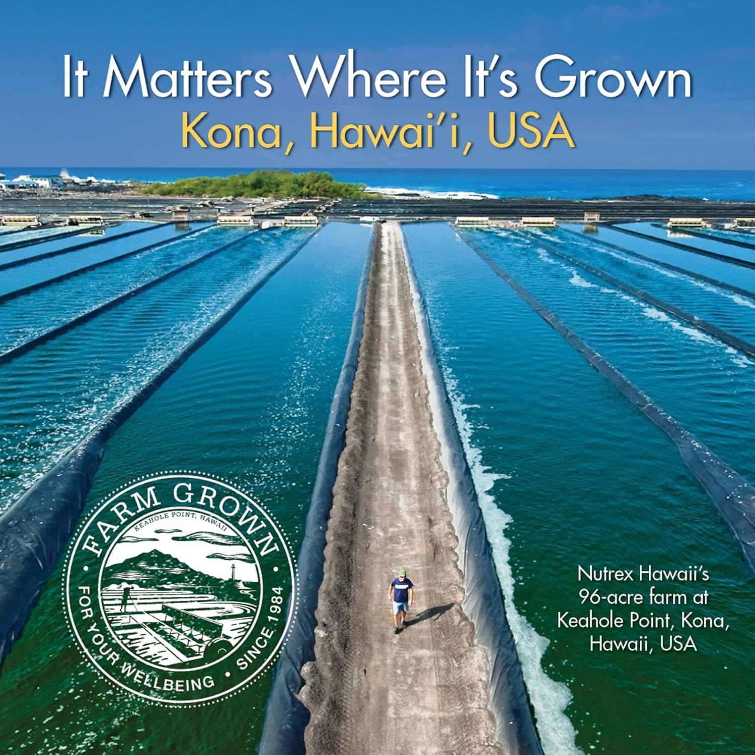 270 Count Nutrex BioAstin Hawaiian Astaxanthin 4mg + 180 Count Pure Hawaiian Spirulina 1000mg Tablets Bundle