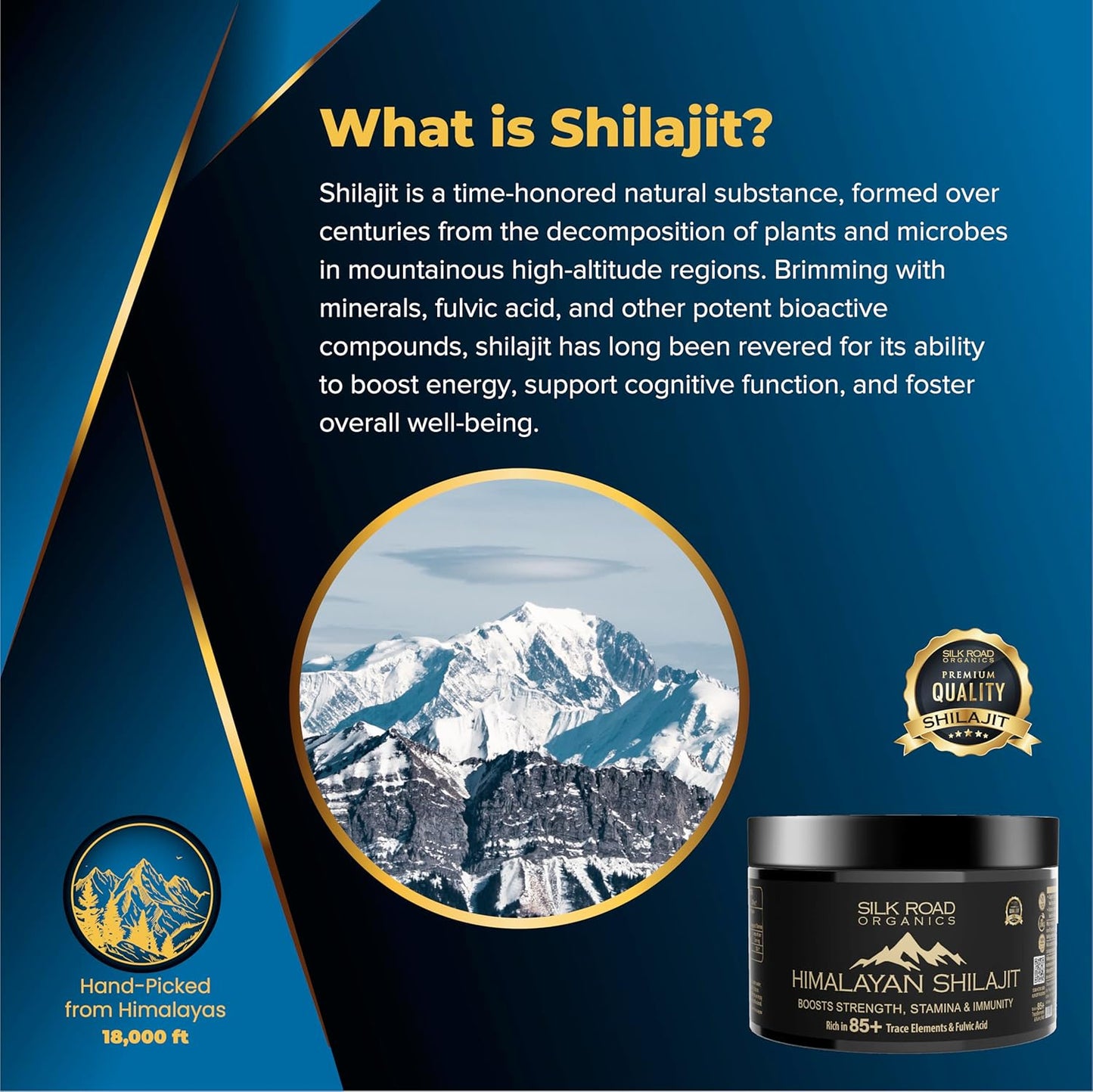 29g Pure Himalayan Shilajit Resin Supplement for Immune Support & Cognitive Health by SILK ROAD ORGANICS