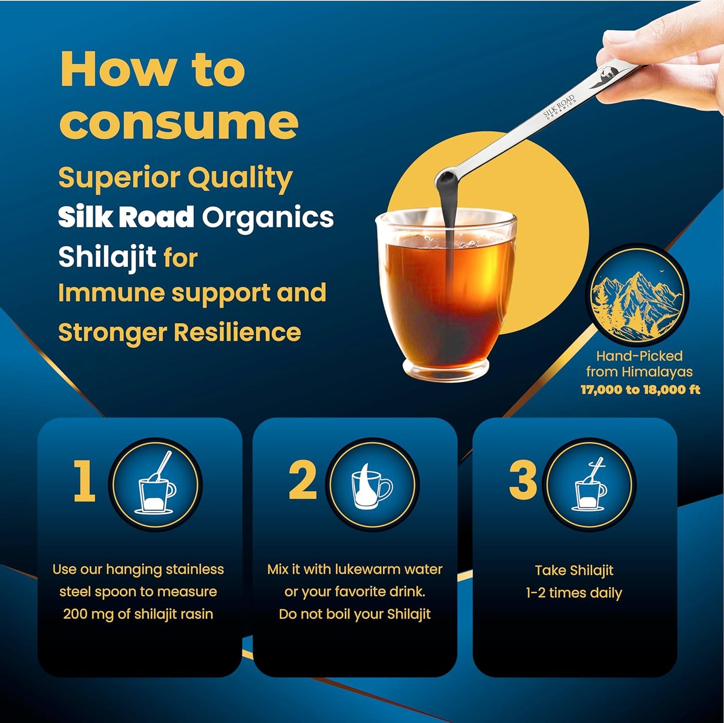 29g Pure Himalayan Shilajit Resin Supplement for Immune Support & Cognitive Health by SILK ROAD ORGANICS