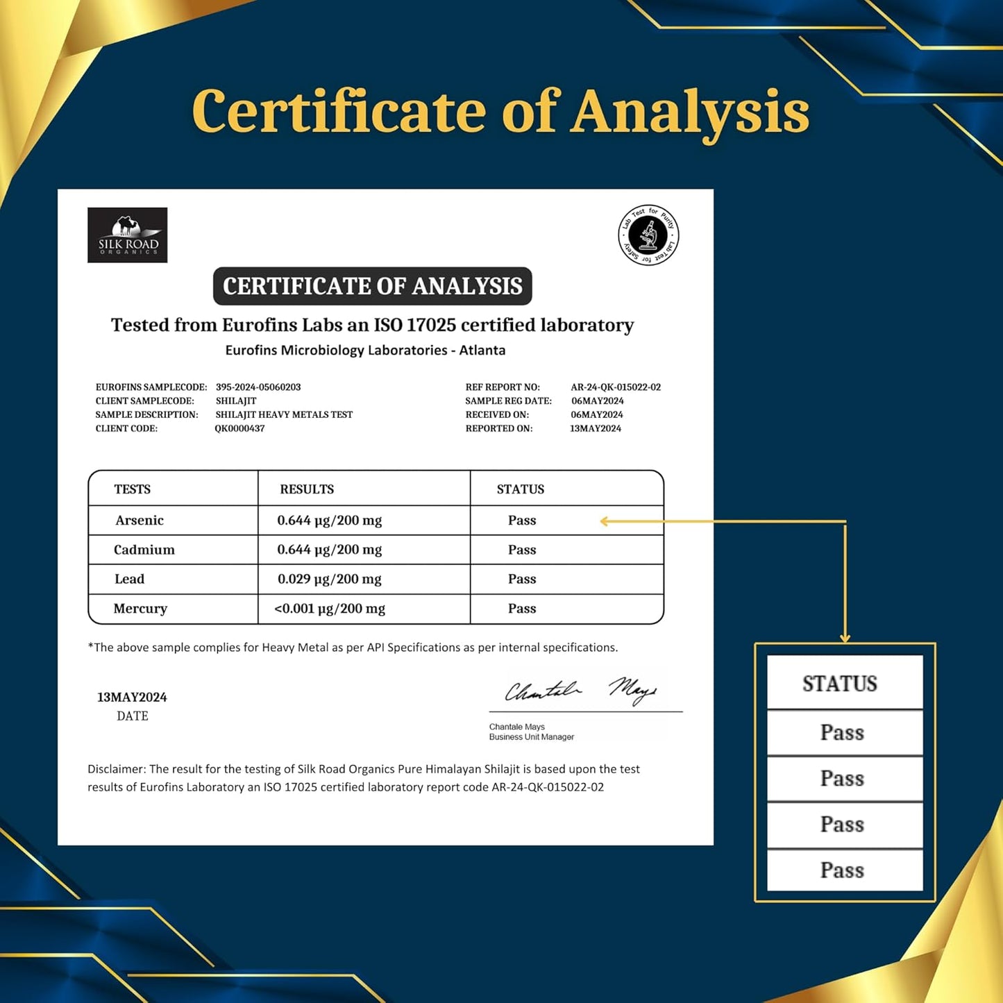 29g Pure Himalayan Shilajit Resin Supplement for Immune Support & Cognitive Health by SILK ROAD ORGANICS