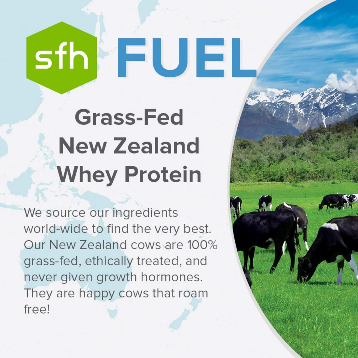2lb Bag of SFH Fuel Grass Fed Whey Protein Powder with MCTs & Fiber - All Natural, Soy Free, Gluten Free, No RBST, Coconut Flavor