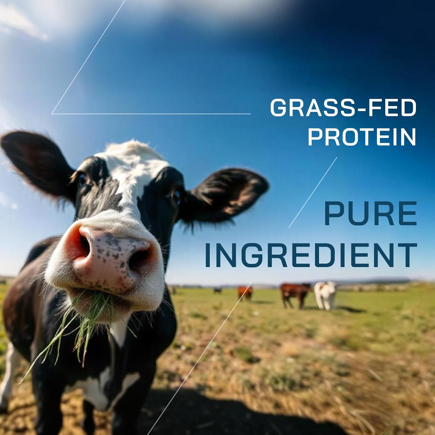 2lb Grass-Fed Whey Protein Powder with BCAAs - 18 Servings