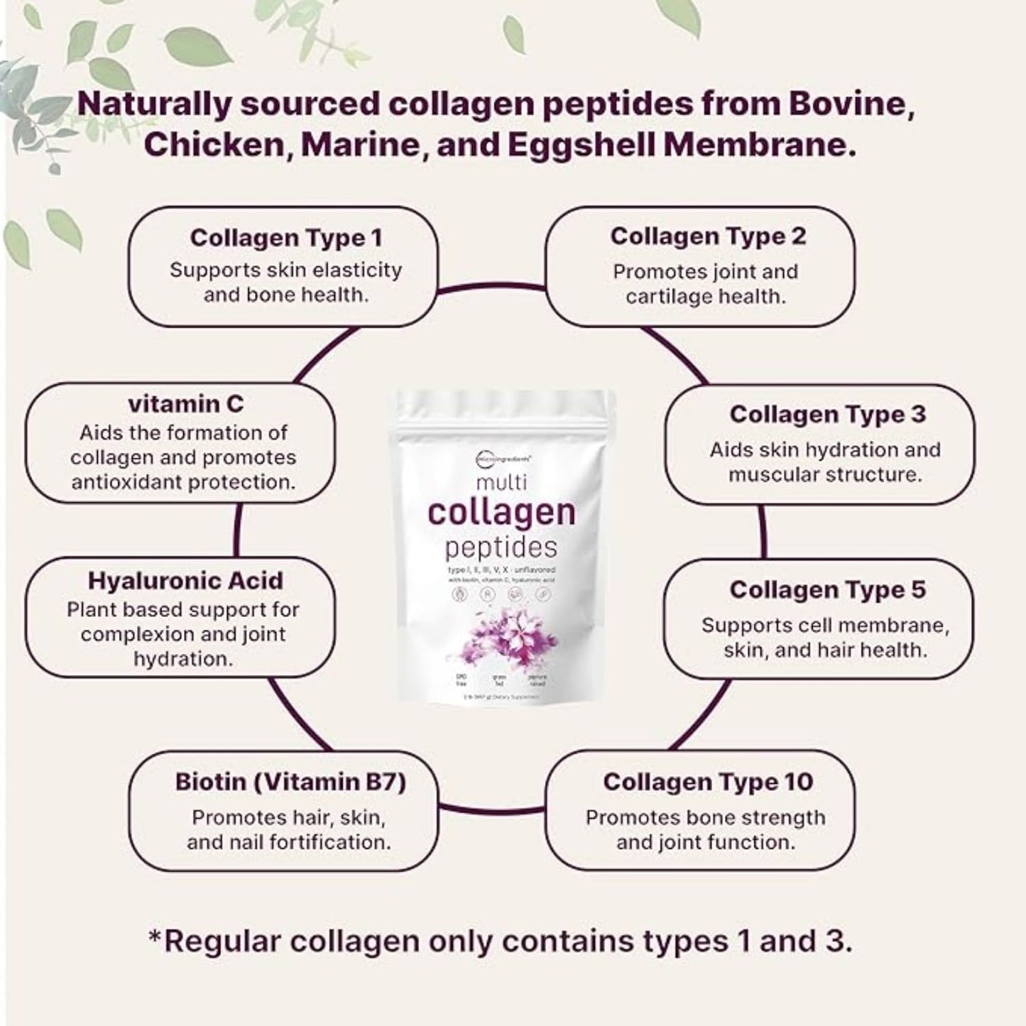 2lb Montue Multi Collagen Protein Powder with Biotin, Hyaluronic Acid, Vitamin C - Unflavored Peptides - Keto & Paleo Friendly, Non-GMO - Type I, II, III, V, X - Easy Dissolve