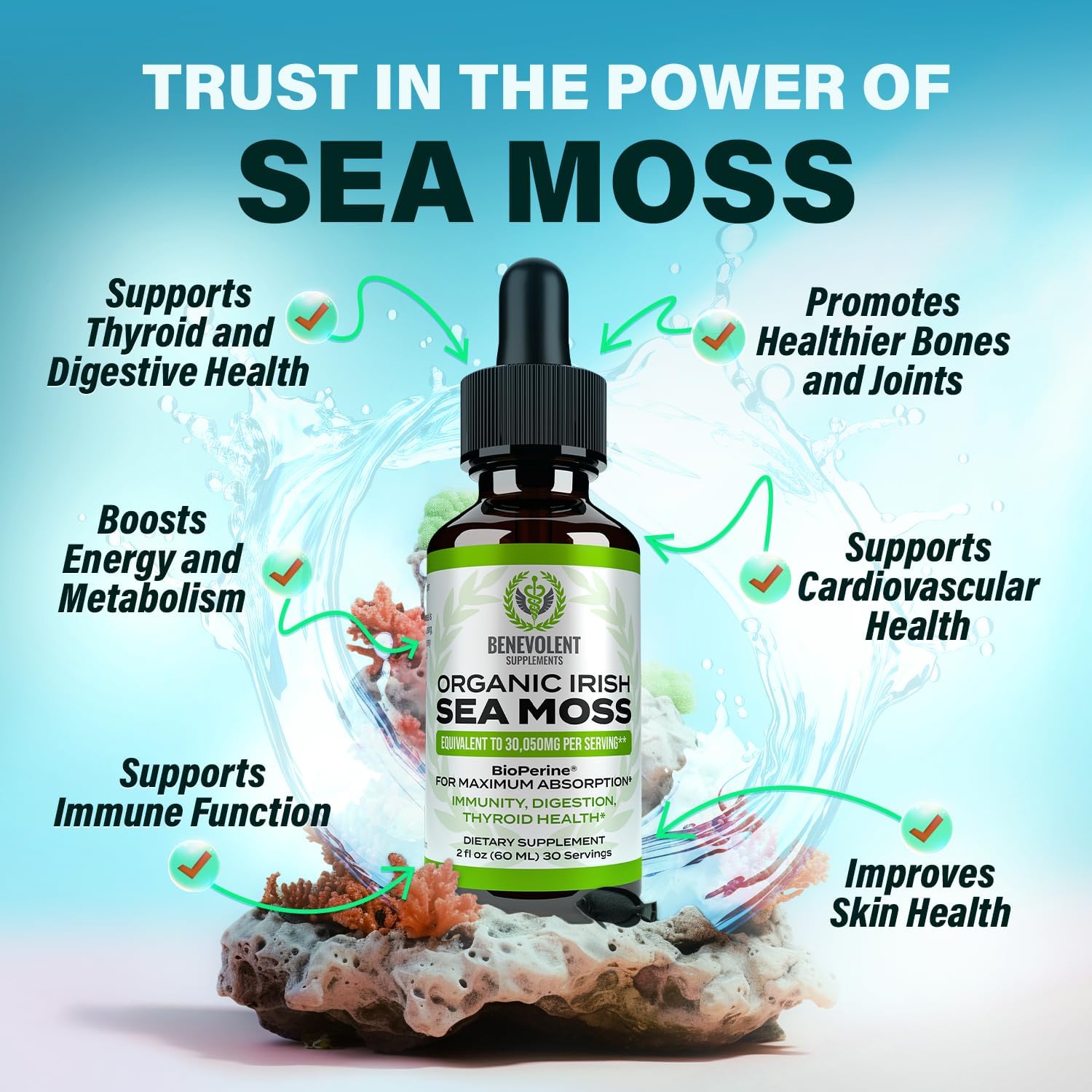 2oz Chlorophyll & Irish Sea Moss Drops: Internal Deodorizer & Skin Radiance - 4 Month Supply