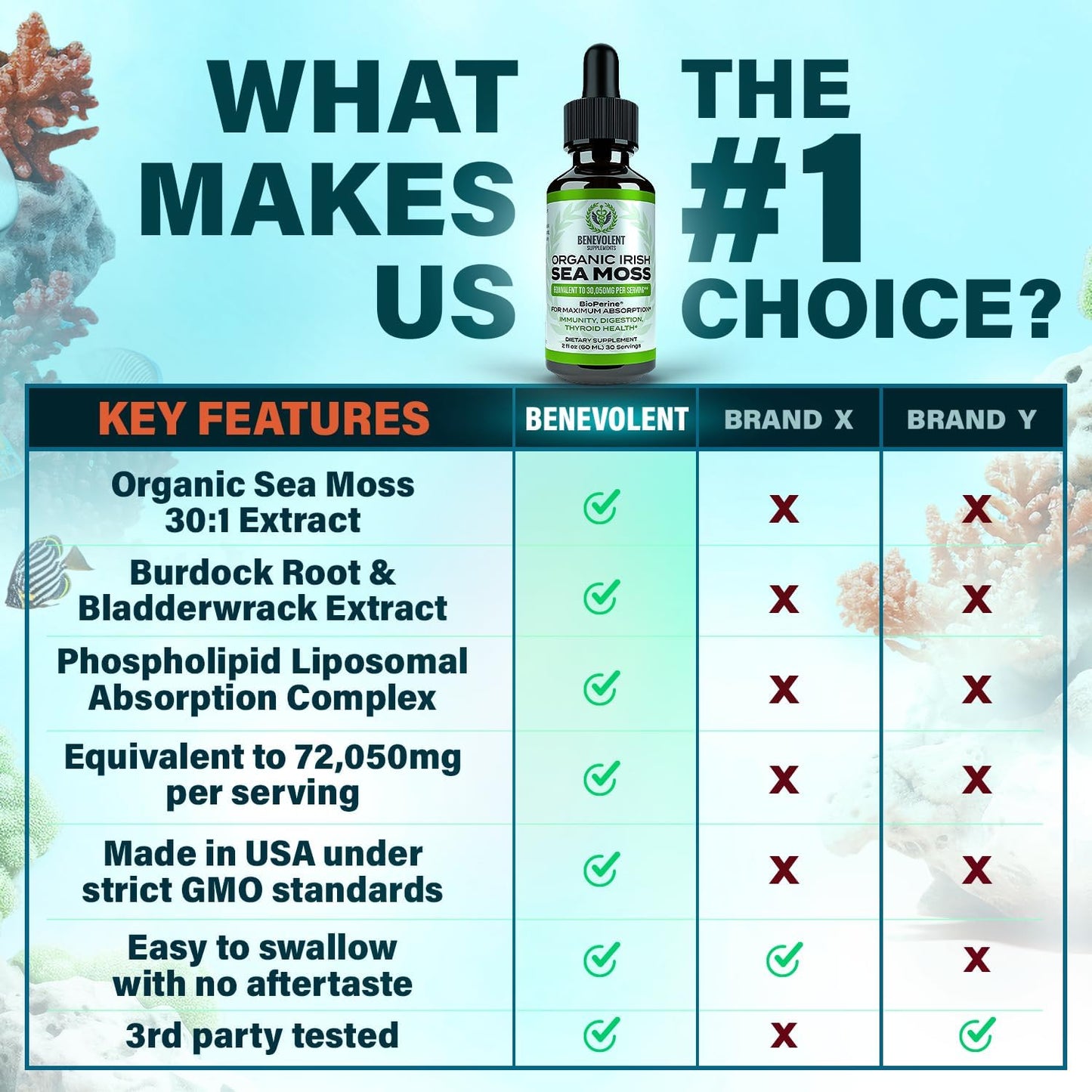 2oz Chlorophyll & Irish Sea Moss Drops: Internal Deodorizer & Skin Radiance - 4 Month Supply