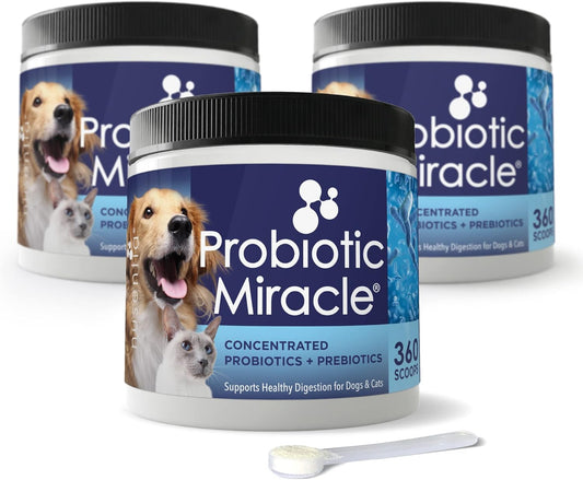 3 Bundle NUSENTIA Probiotic Miracle for Dogs and Cats - Save $13 - Made in USA - GMP Certified - Relieve Diarrhea, Constipation, Yeast, and More