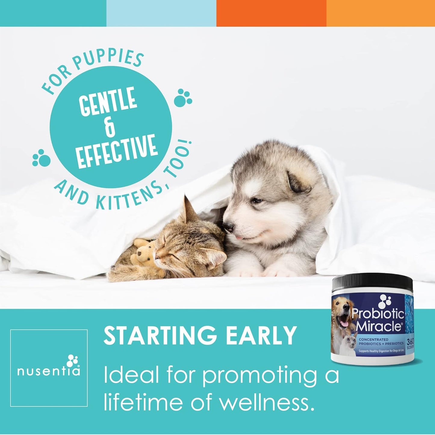 3 Bundle NUSENTIA Probiotic Miracle for Dogs and Cats - Save $13 - Made in USA - GMP Certified - Relieve Diarrhea, Constipation, Yeast, and More
