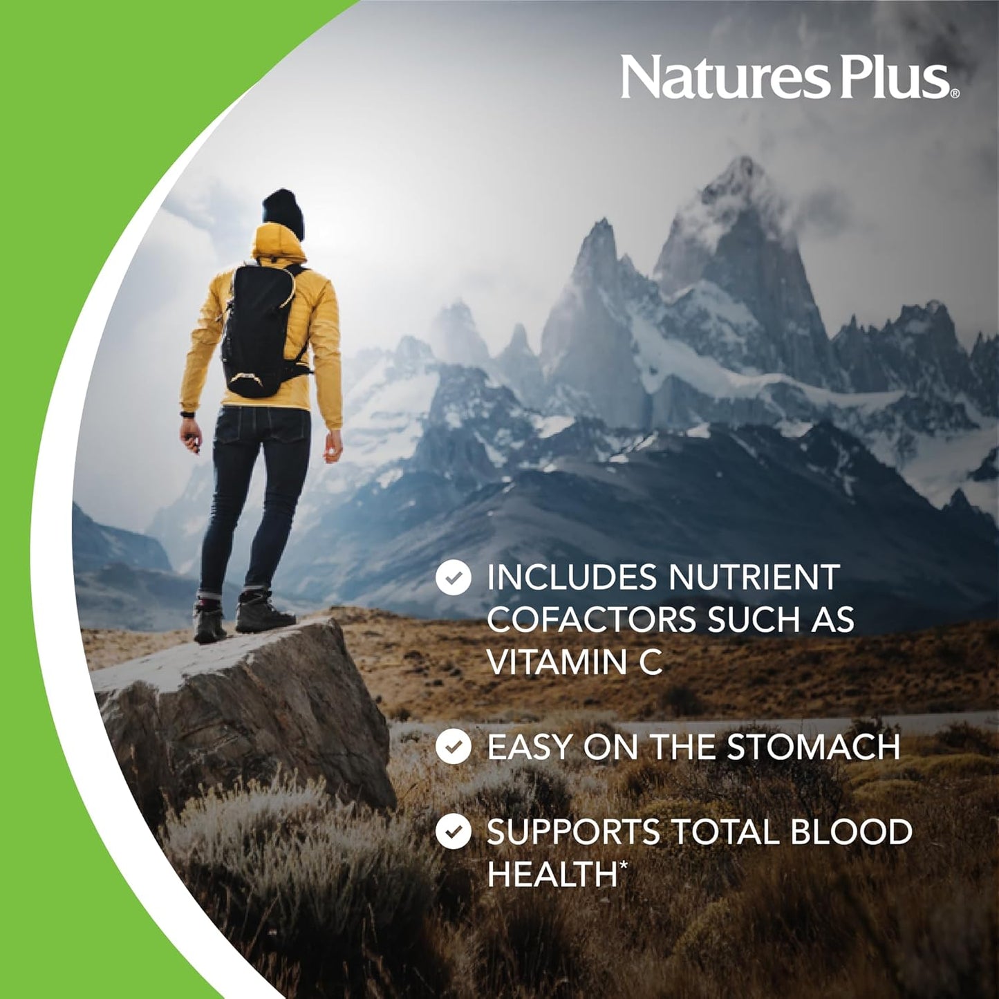 3 Pack of Natures Plus Hema-Plex Iron Capsules - 60 Fast-Acting Capsules, 85mg Chelated Iron, Vitamin C, Bioflavonoids - Vegan, Gluten Free, 90 Servings