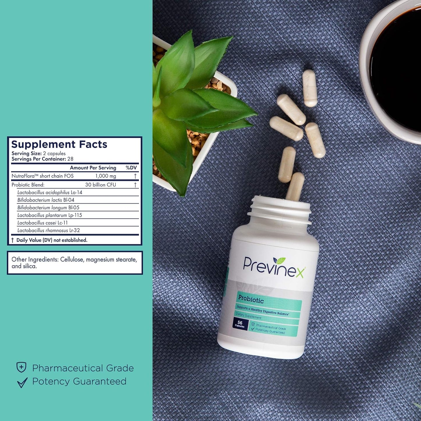 30 Billion CFU Previnex Probiotic with Prebiotics for Digestion & Immune Support