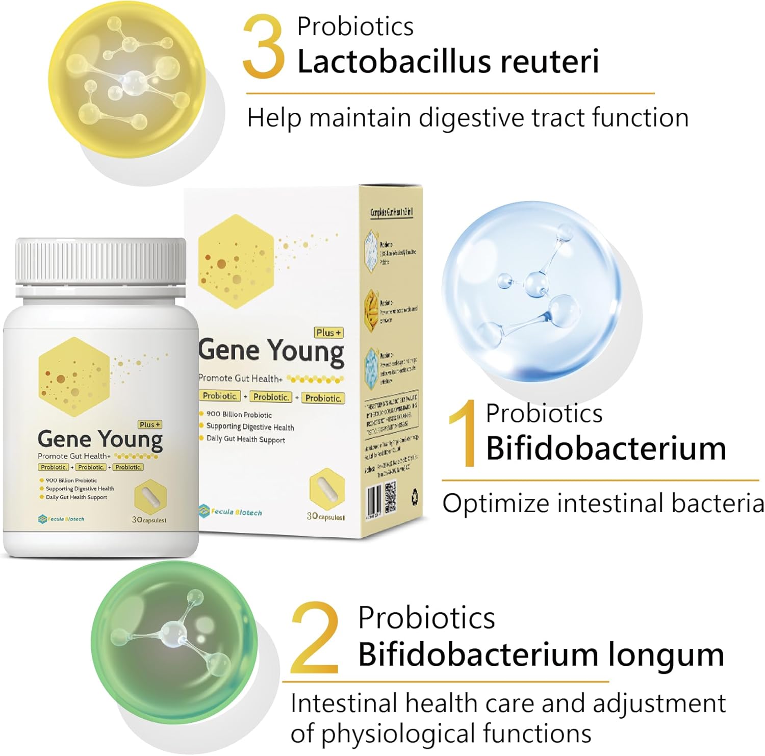 30 Capsules of Fecula Biotech Synbiotic: 3-in-1 Gut Health Support for Digestion, Bloat, and Immune System