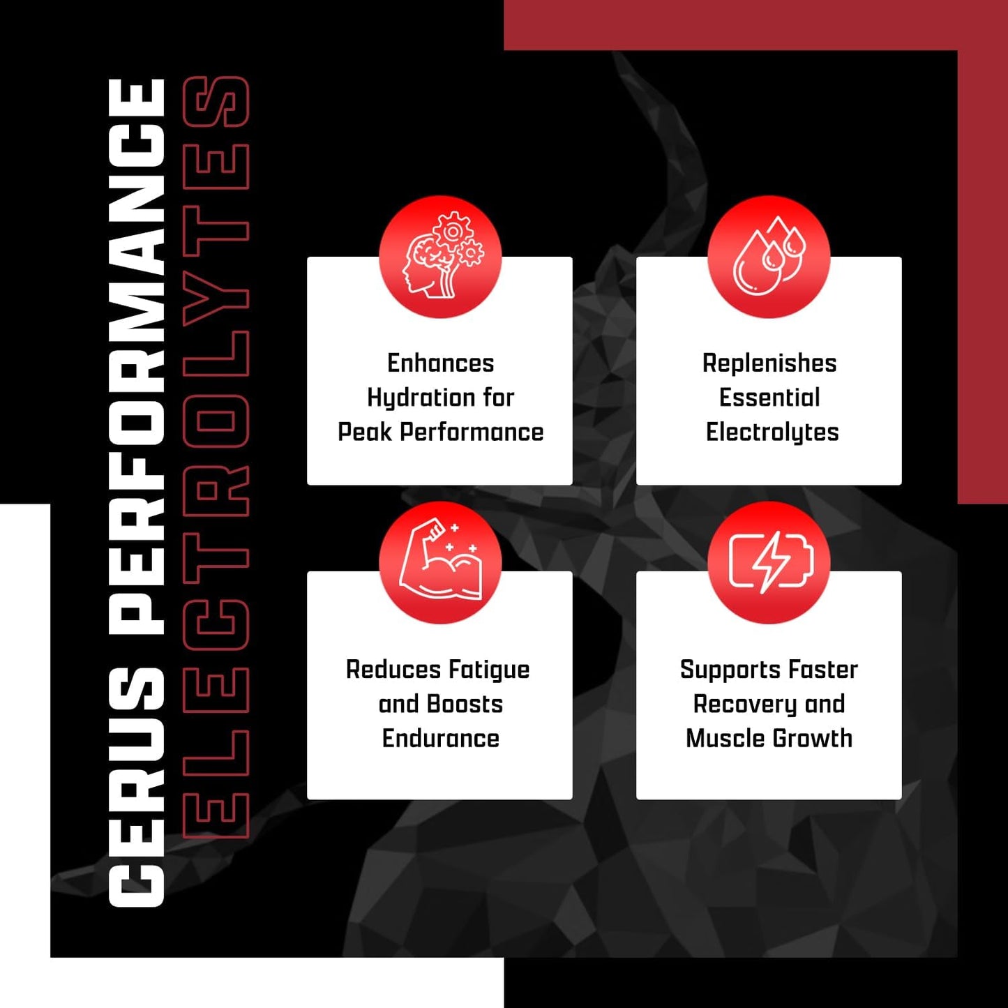 30 Servings of Watermelon Flavored Cerus Performance Electrolyte Powder with Coconut Water & Real Fruit for Endurance & Recovery - Zero Sugar