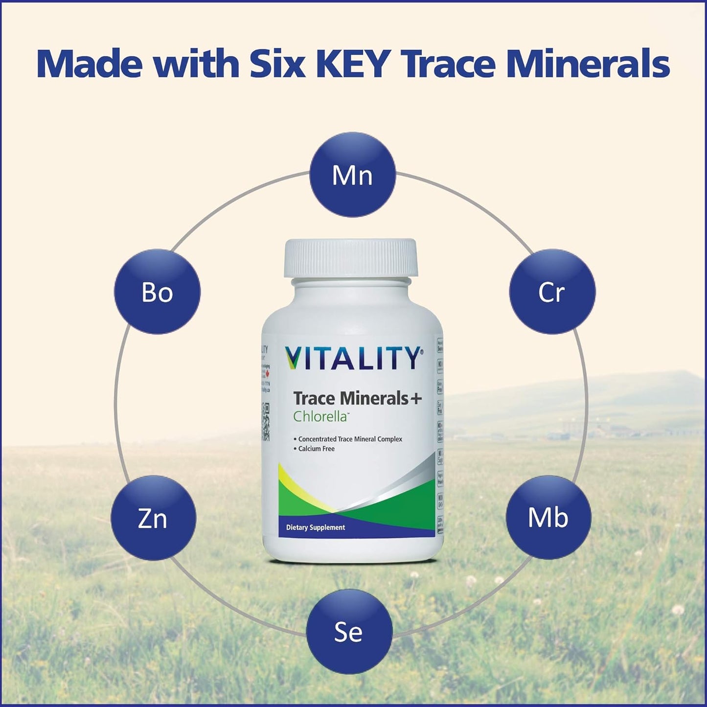 30 Vcaps Vitality Trace Minerals & Chlorella Supplement - Boosts Metabolism, Immunity, Healing, and Body Detox