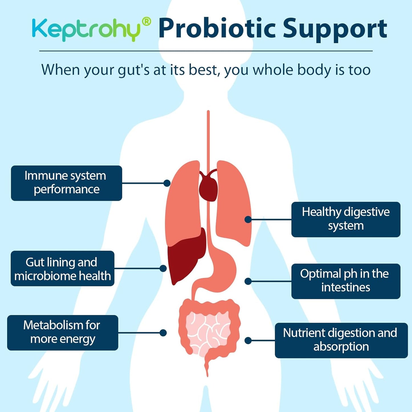 300 Billion CFU Probiotics for Gut Health - Organic Prebiotics Blend, 12 Strains Probiotic Supplement for Women and Men - 60 Capsules