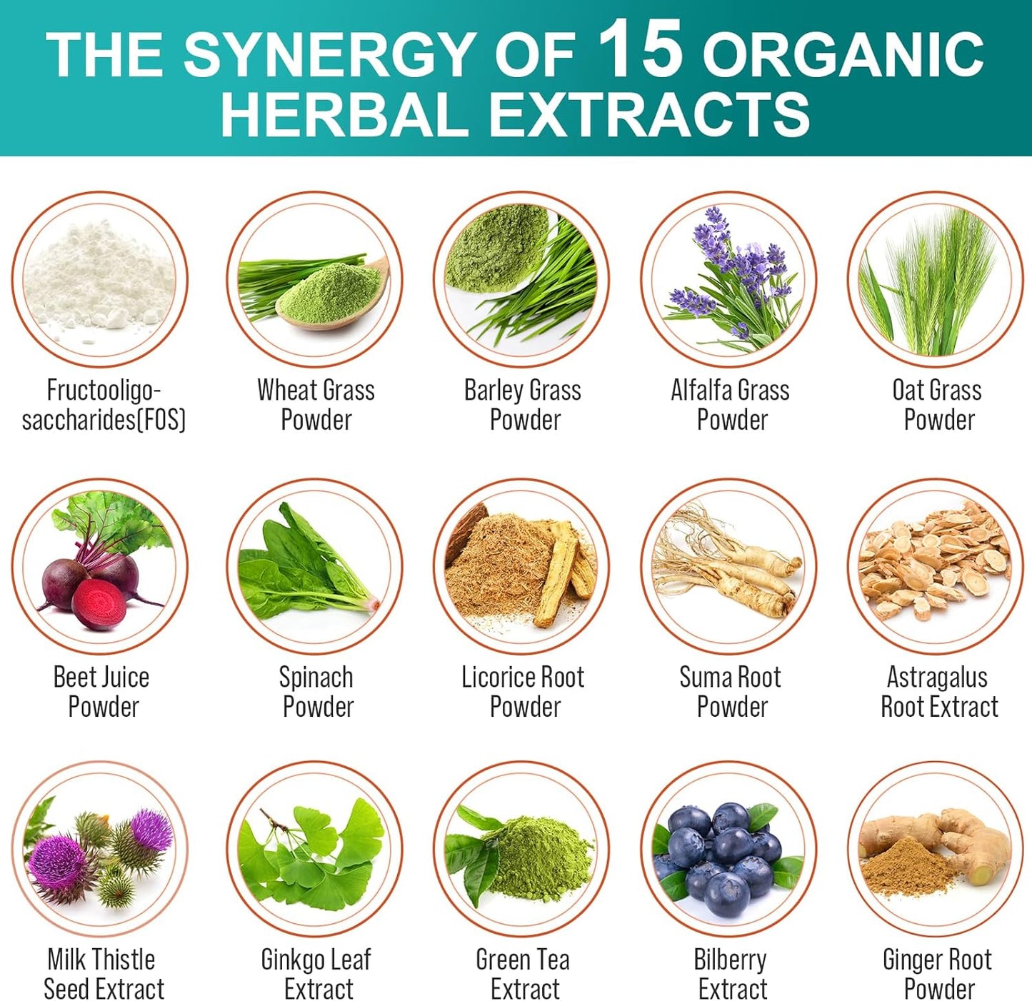 300 Billion CFU Probiotics for Gut Health with 24 Strains & 15 Organic Herbs - Immune Support, Constipation, Bloating - 4 Month Supply