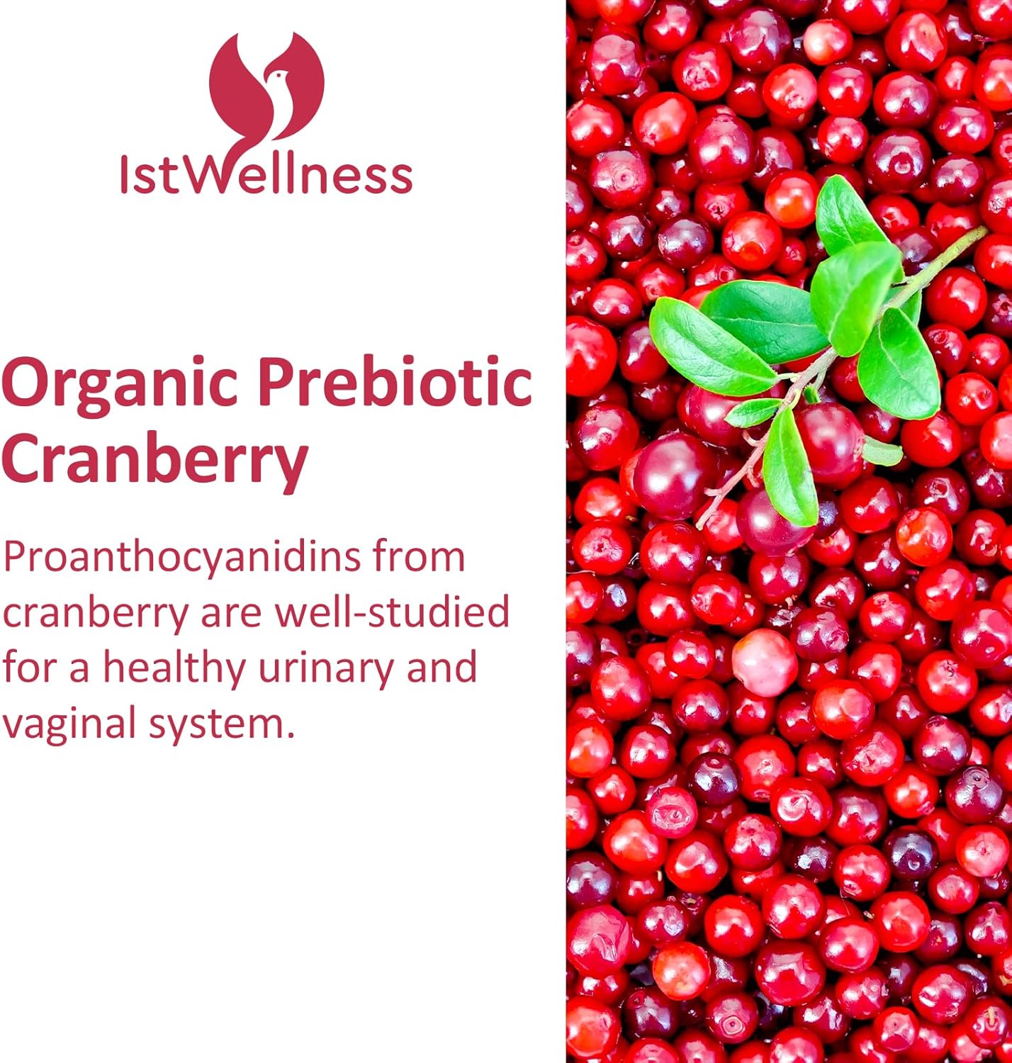 300 Billion CFU Probiotics for Women with Cranberry - 12 Strains for Vaginal & Urinary Health - 180 Capsules