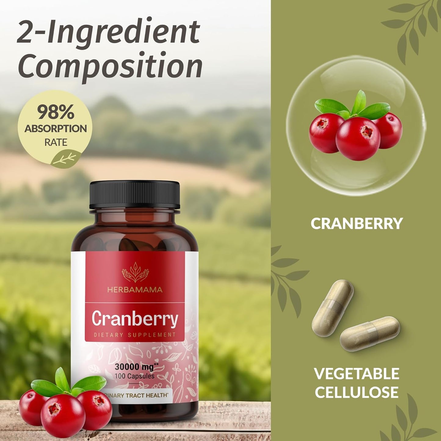 30,000mg Cranberry Powder Capsules for Urinary Tract & Bladder Support - Vegan & Non-GMO - 100 Capsules - BoostGo Australia