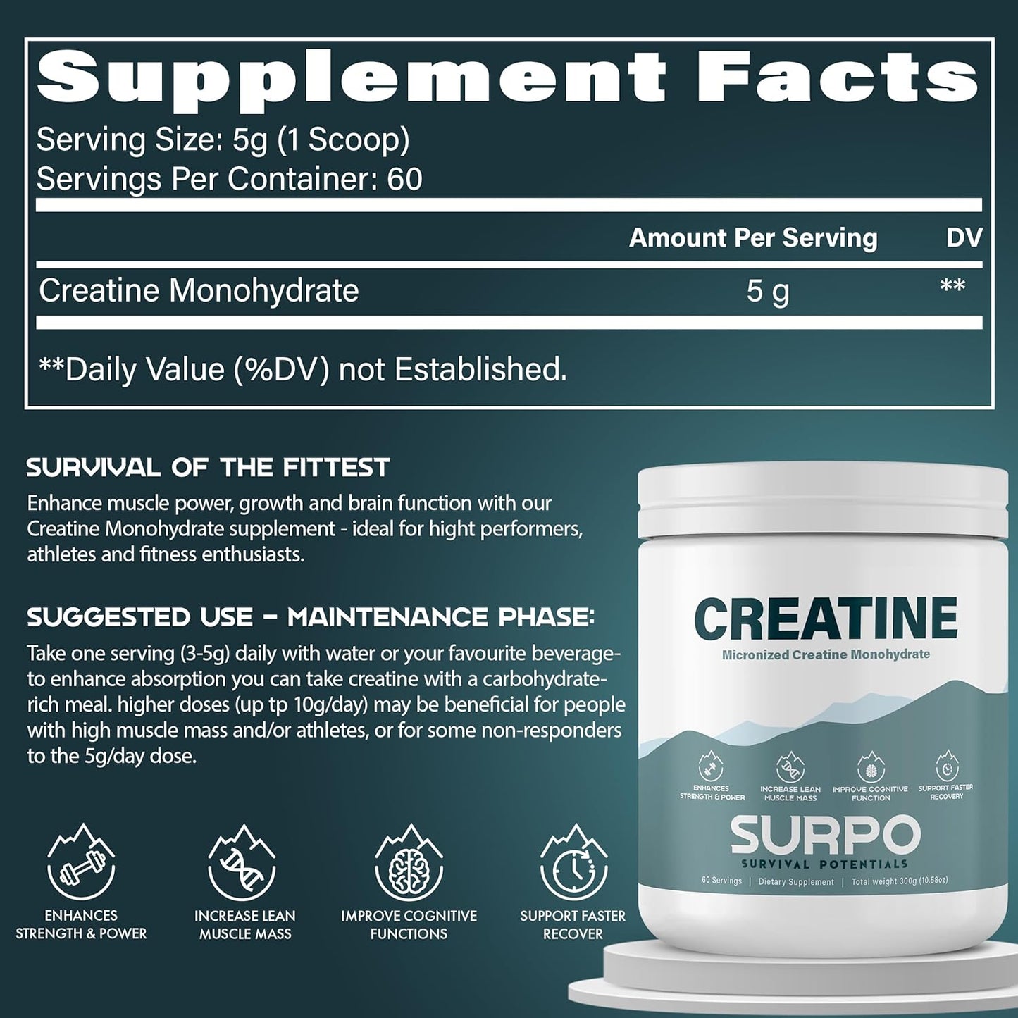 300g Micronized Creatine Monohydrate Powder - 60 Servings, Pure & Unflavored | Gluten Free & Non GMO Workout Supplement for Muscle Recovery & Growth