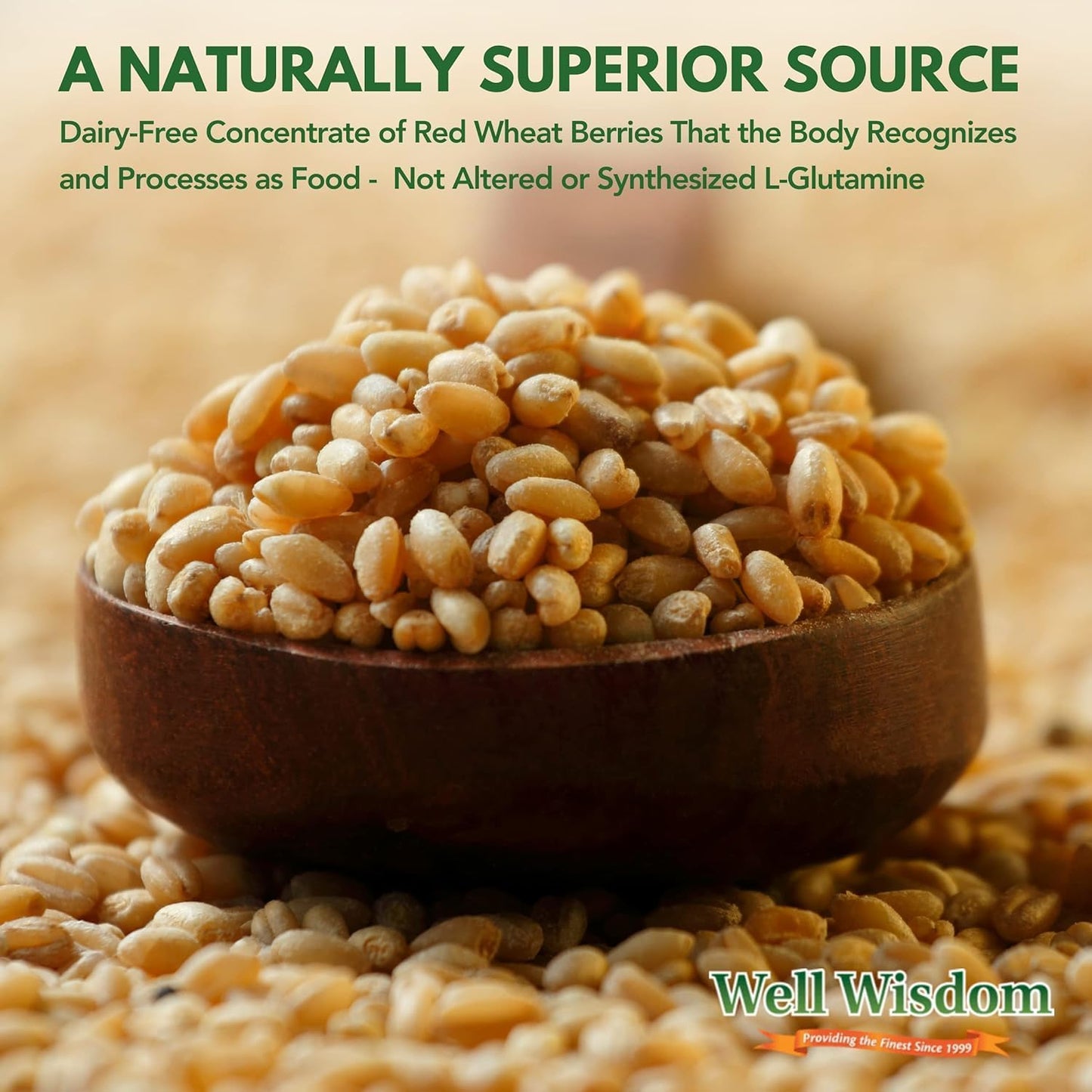 300g Well Wisdom Proteins Glut Immune Powder - Dairy-Free Covalent Bonded Supplement for Gut Health & Recovery