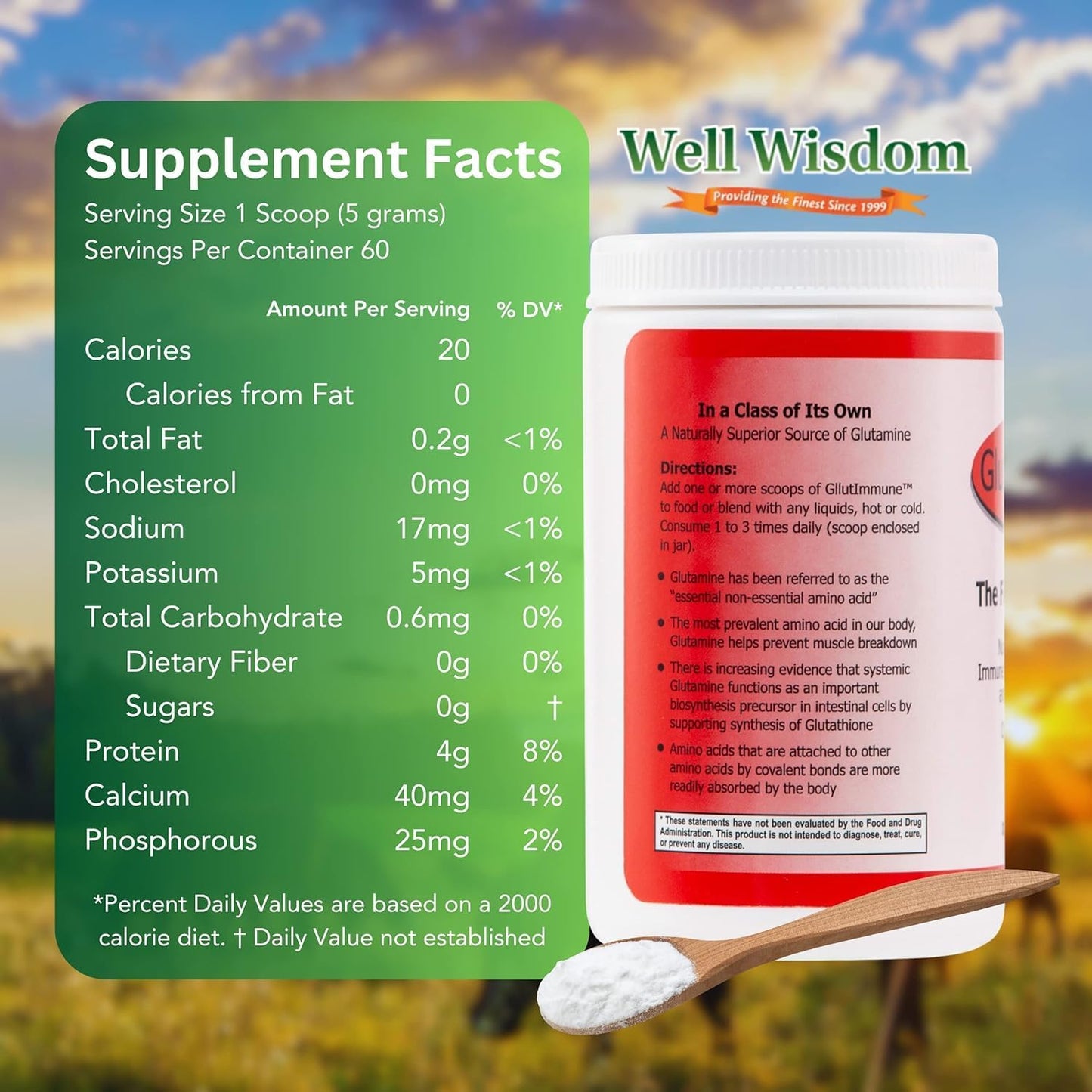 300g Well Wisdom Proteins Glut Immune Powder - Dairy-Free Covalent Bonded Supplement for Gut Health & Recovery